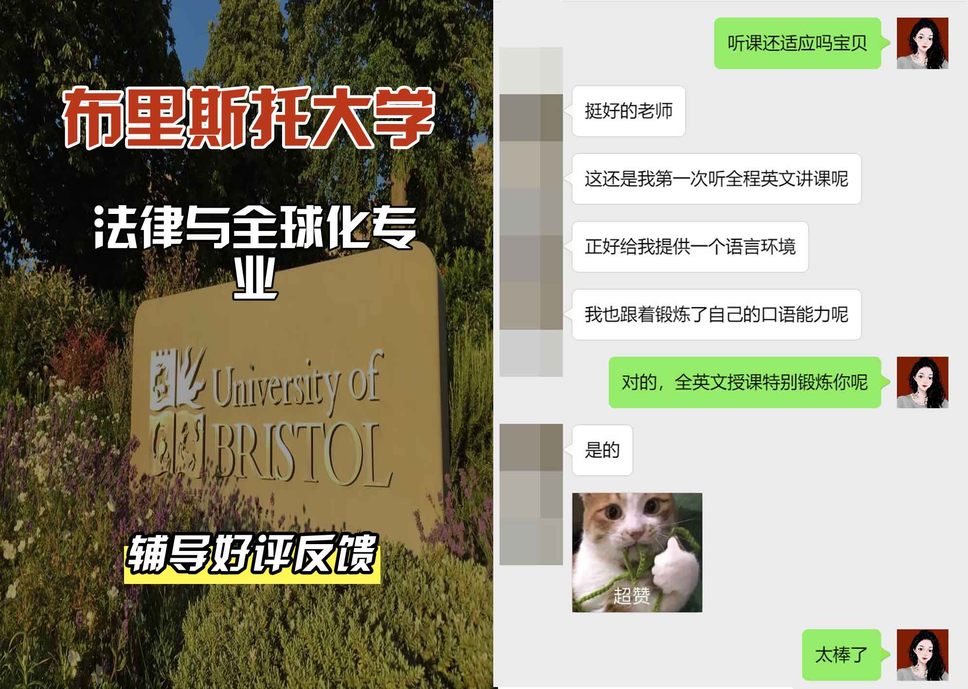 布里斯托大学布大法律与全球化辅导好评反馈