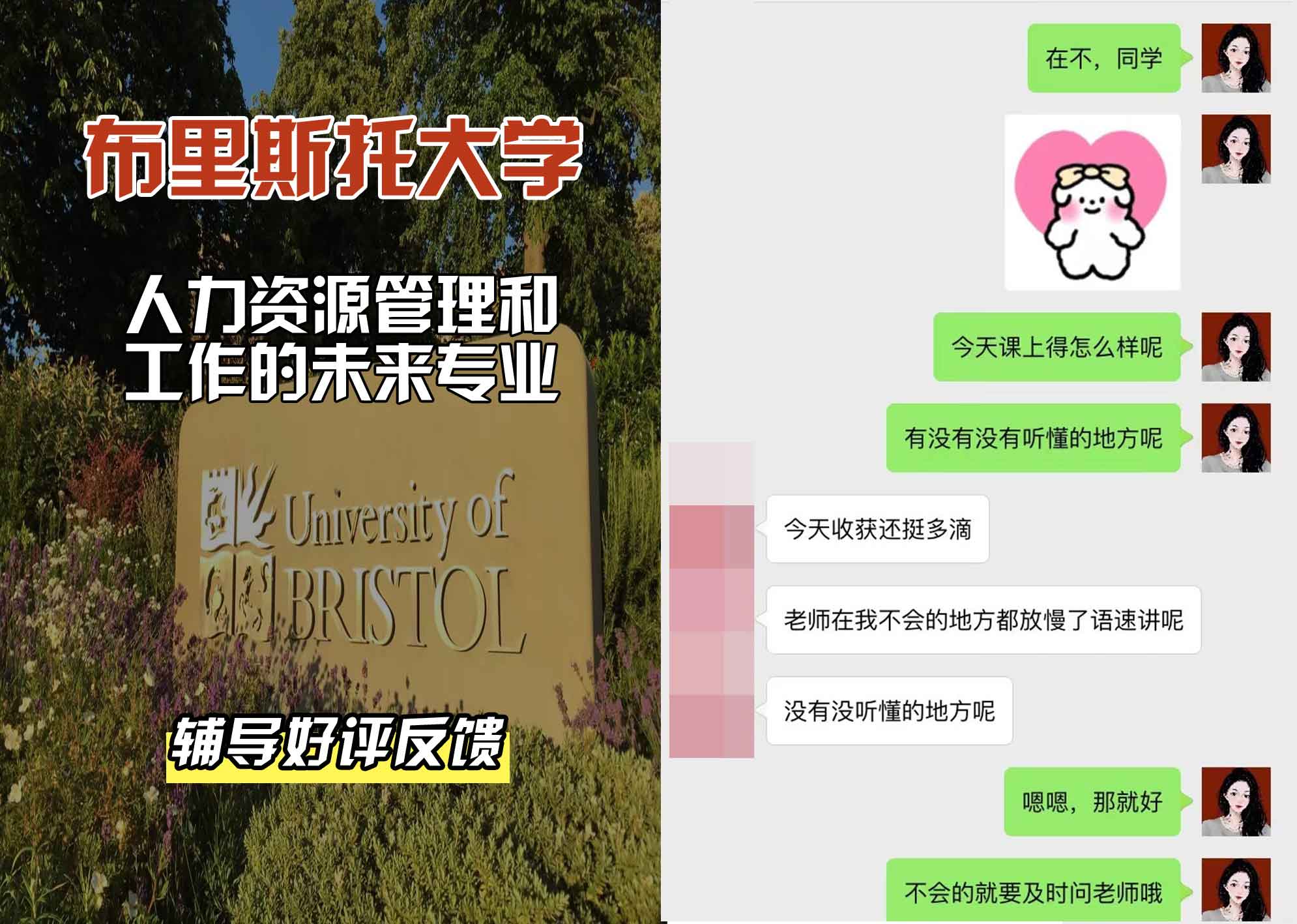 布里斯托大学布大人力资源管理和工作的未来辅导好评反馈