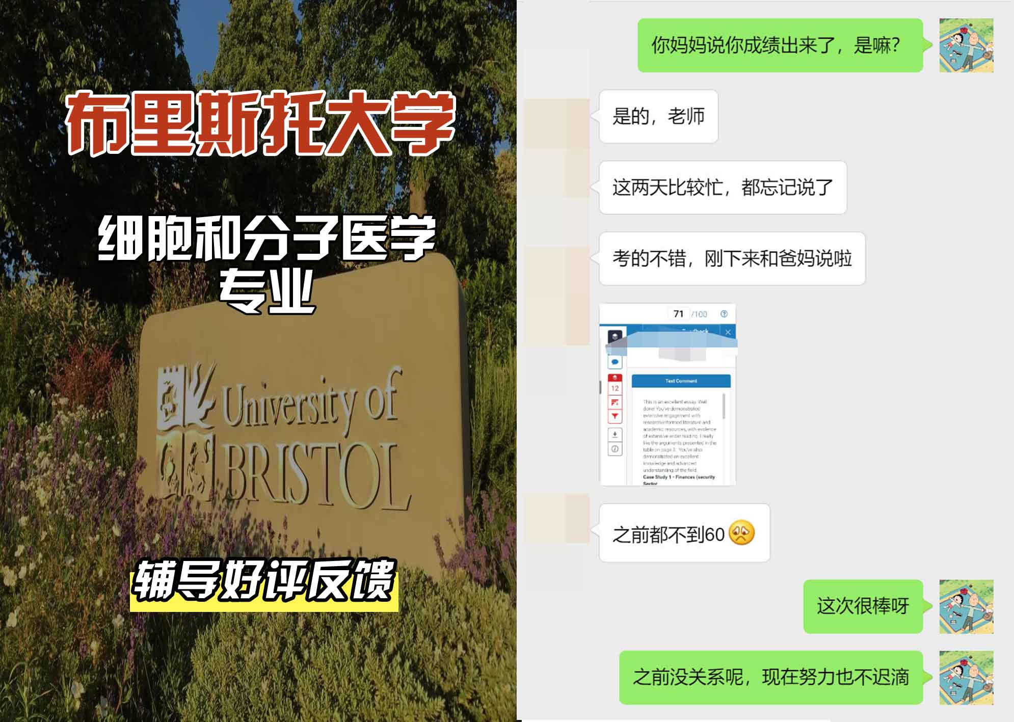 布里斯托大学布大细胞和分子医学辅导好评反馈