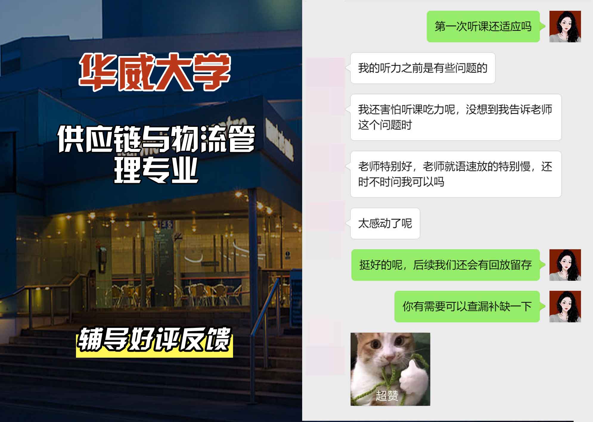 华威大学华威供应链与物流管理辅导好评反馈