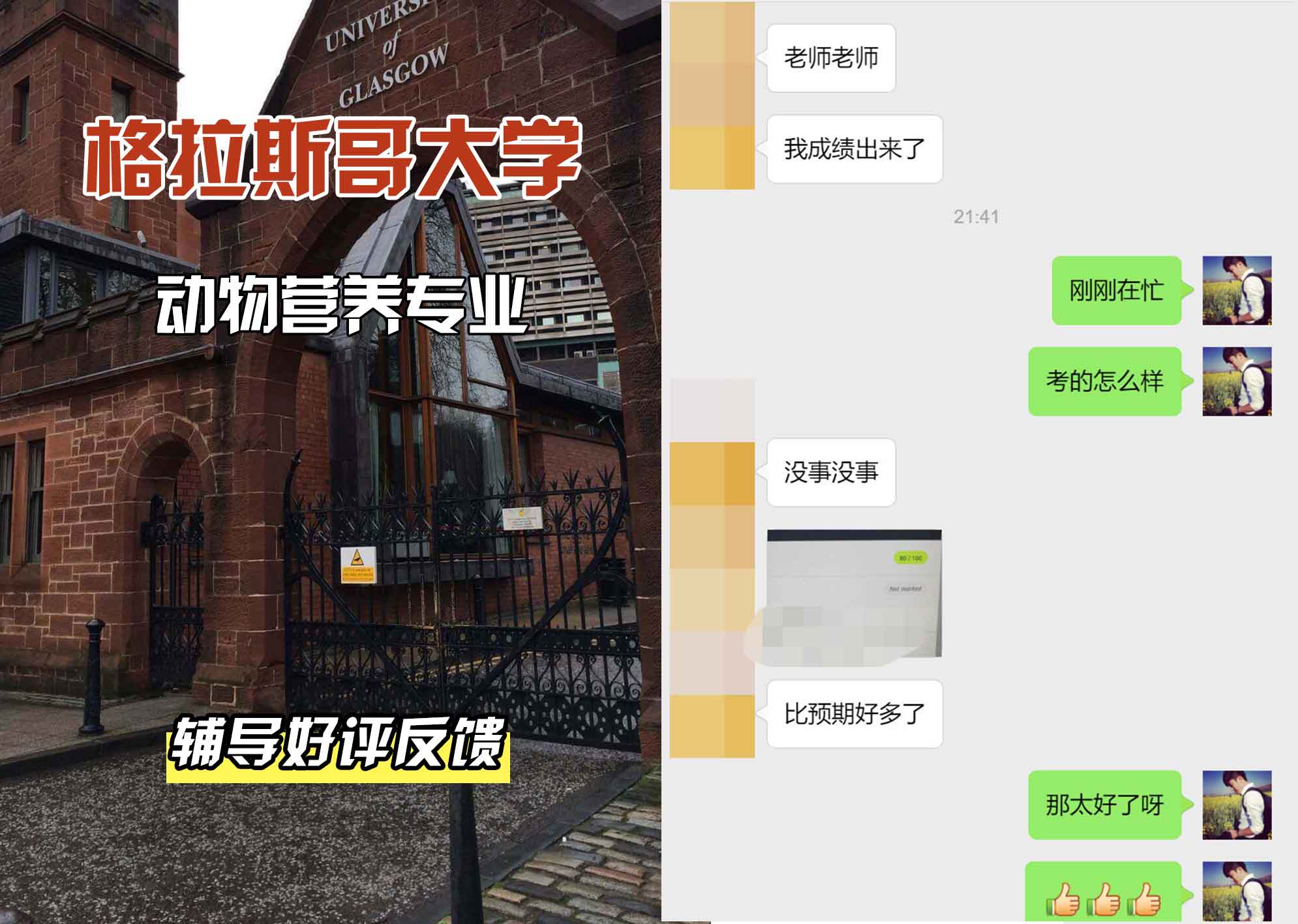 格拉斯哥大学格大动物营养辅导好评反馈