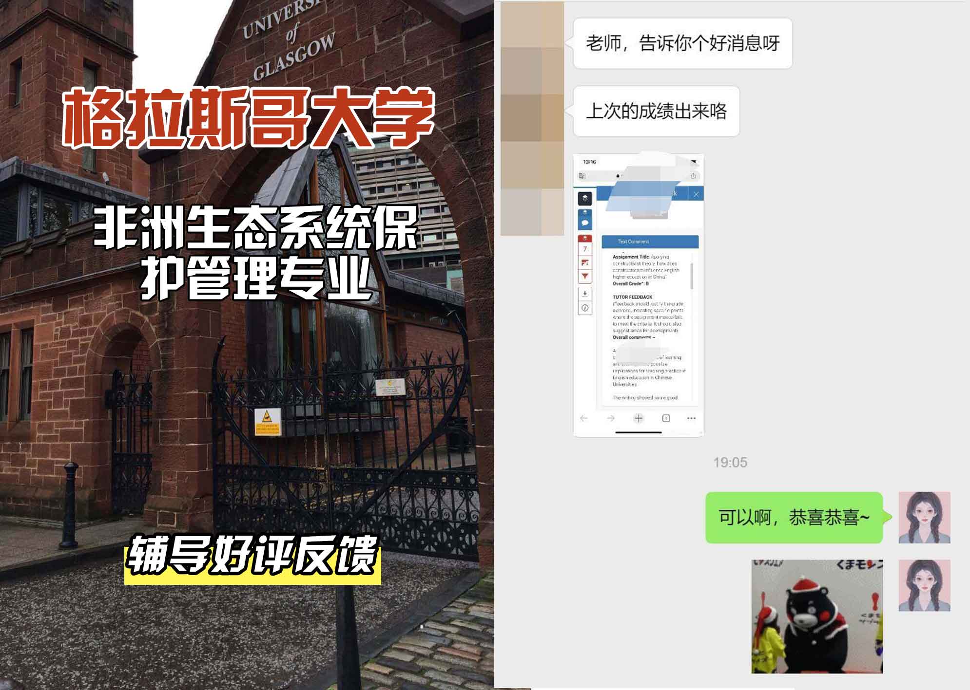 格拉斯哥大学格大非洲生态系统保护管理理学辅导好评反馈