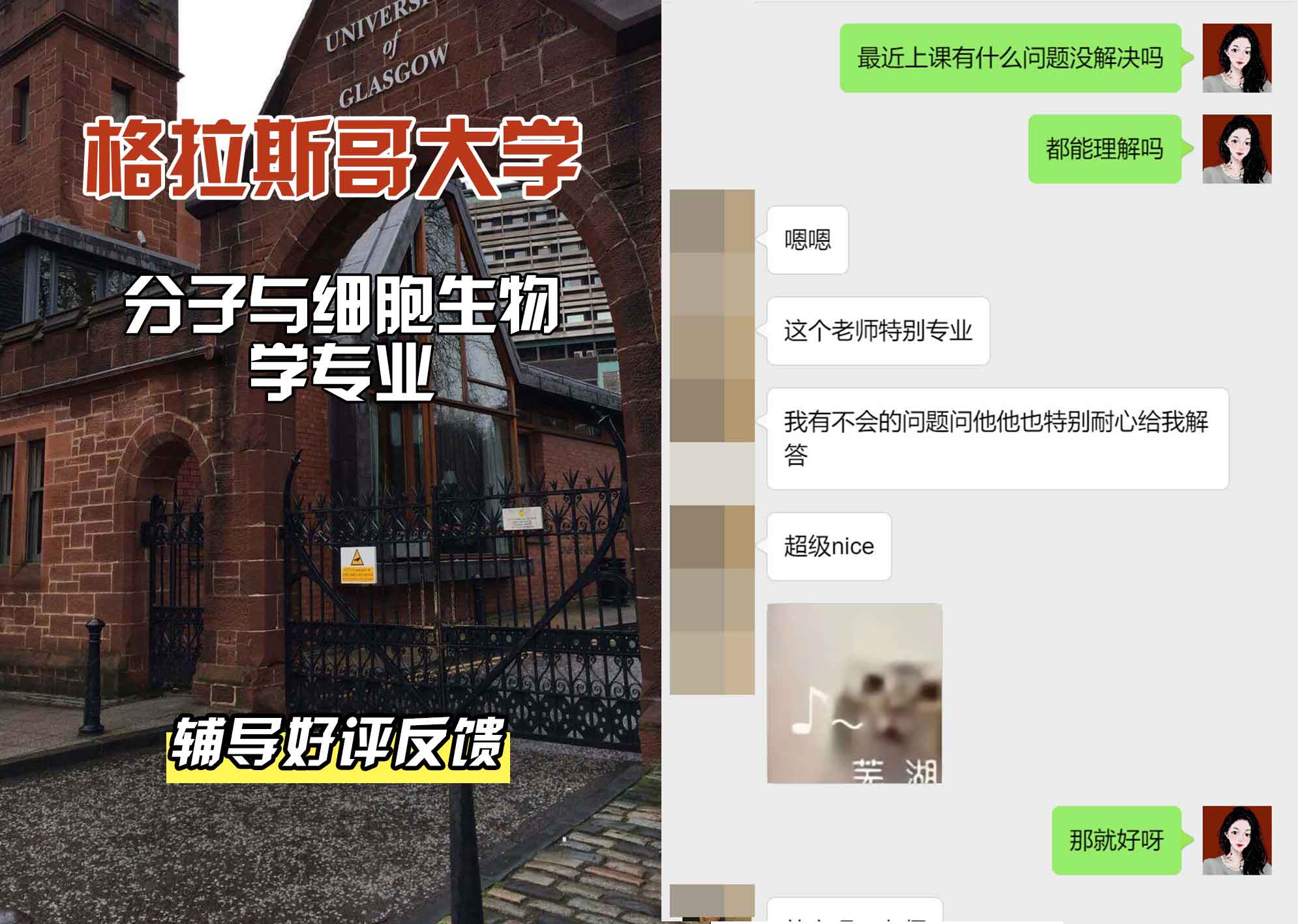 格拉斯哥大学格大分子与细胞生物学辅导好评反馈