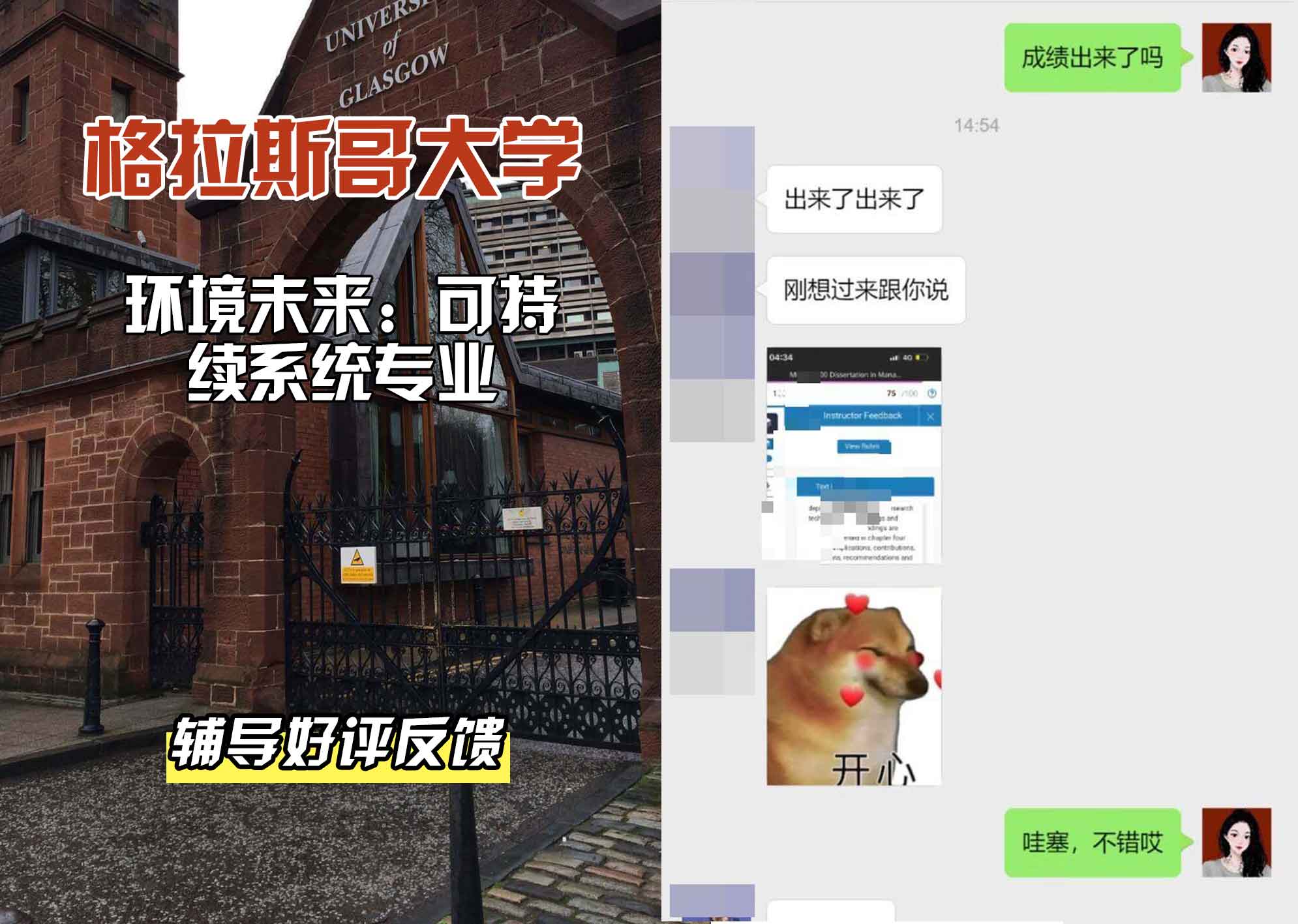 格拉斯哥大学格大环境未来：可持续系统辅导好评反馈