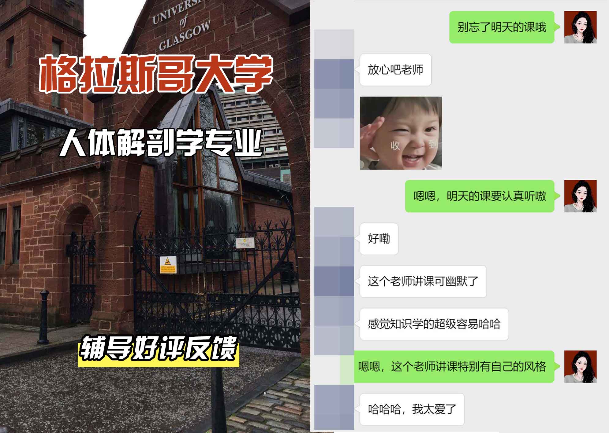 格拉斯哥大学格大人体解剖学辅导好评反馈