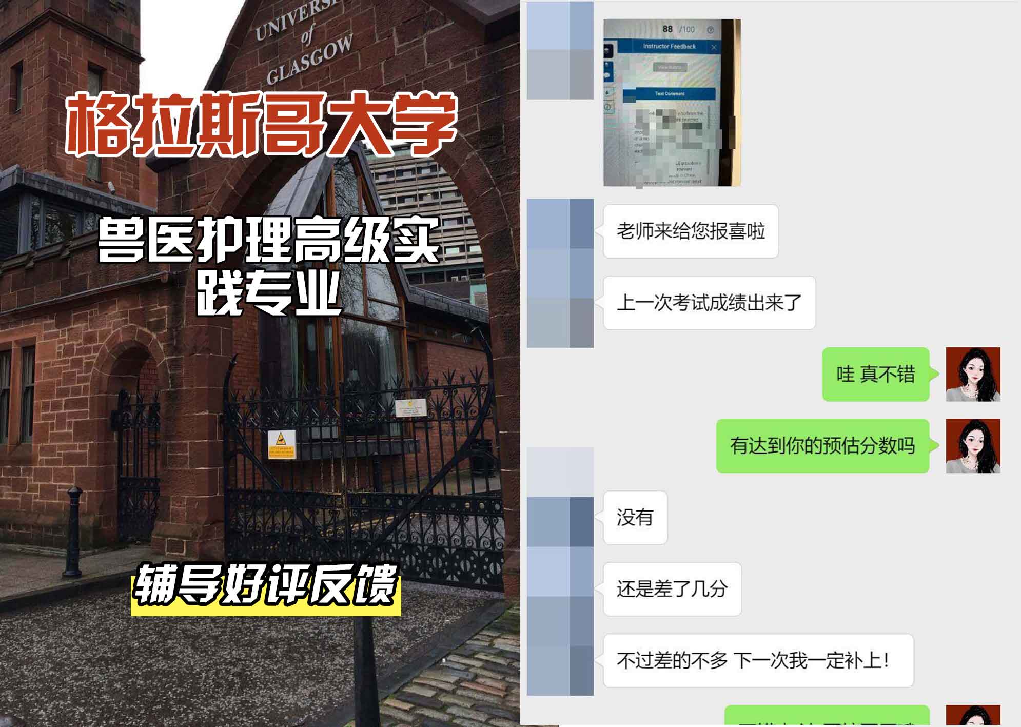 格拉斯哥大学格大兽医护理高级实践辅导好评反馈