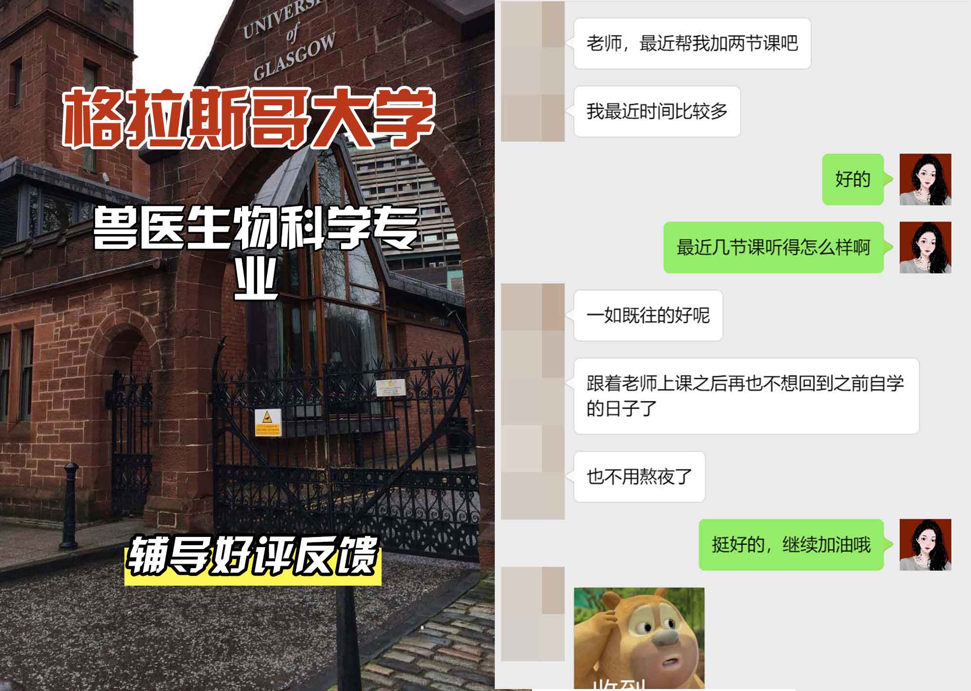 格拉斯哥大学格大兽医生物科学辅导好评反馈