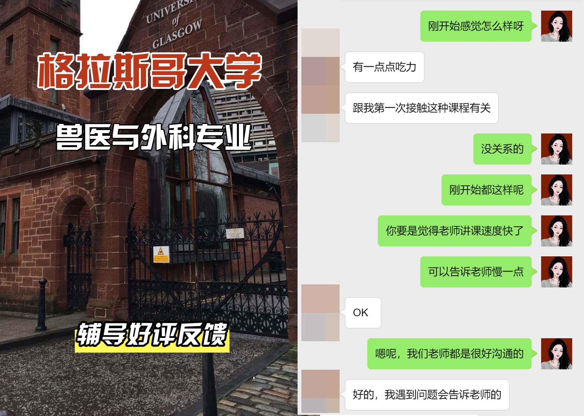 格拉斯哥大学格大兽医与外科辅导好评反馈