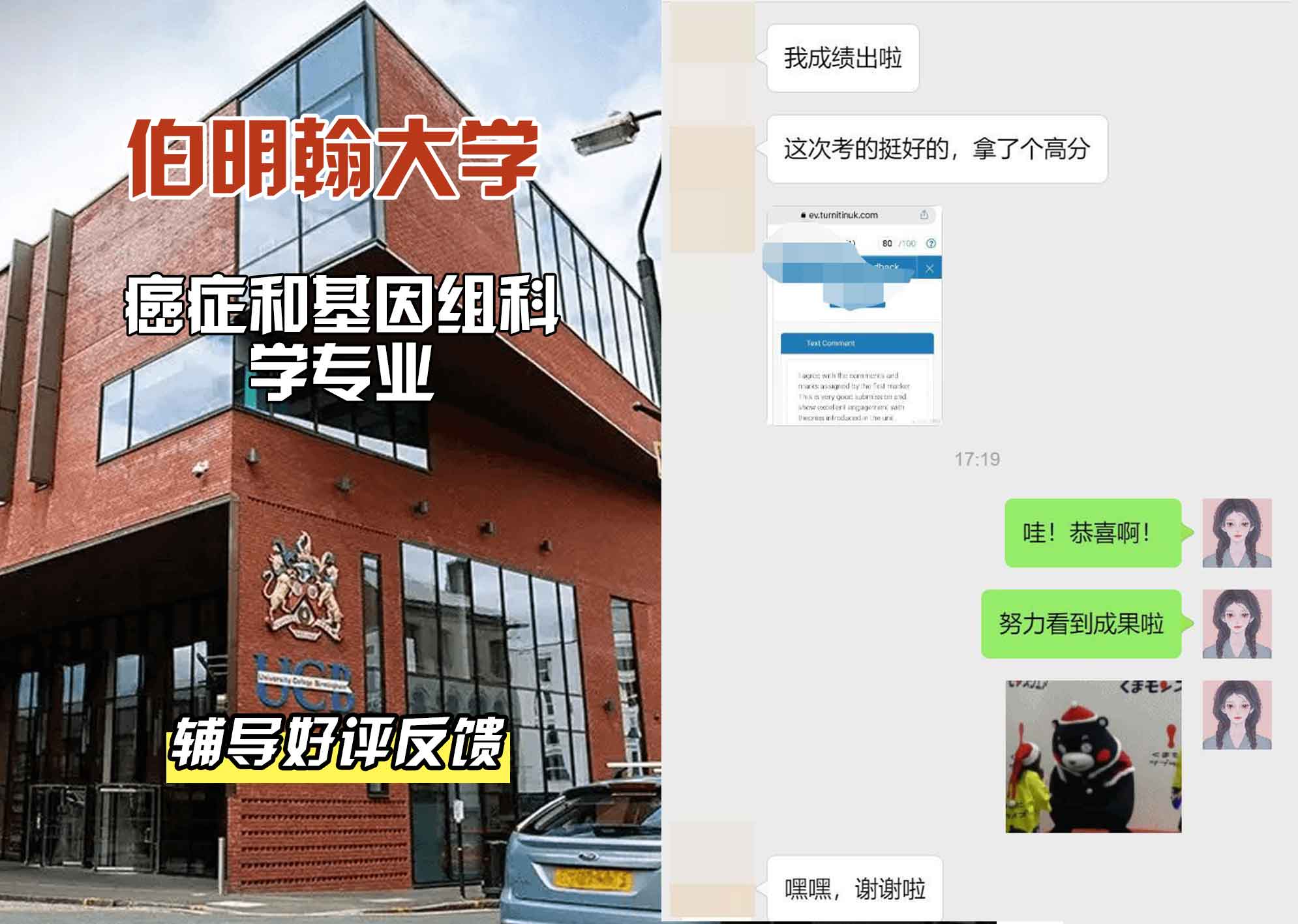 伯明翰大学伯大癌症和基因组科学辅导好评反馈