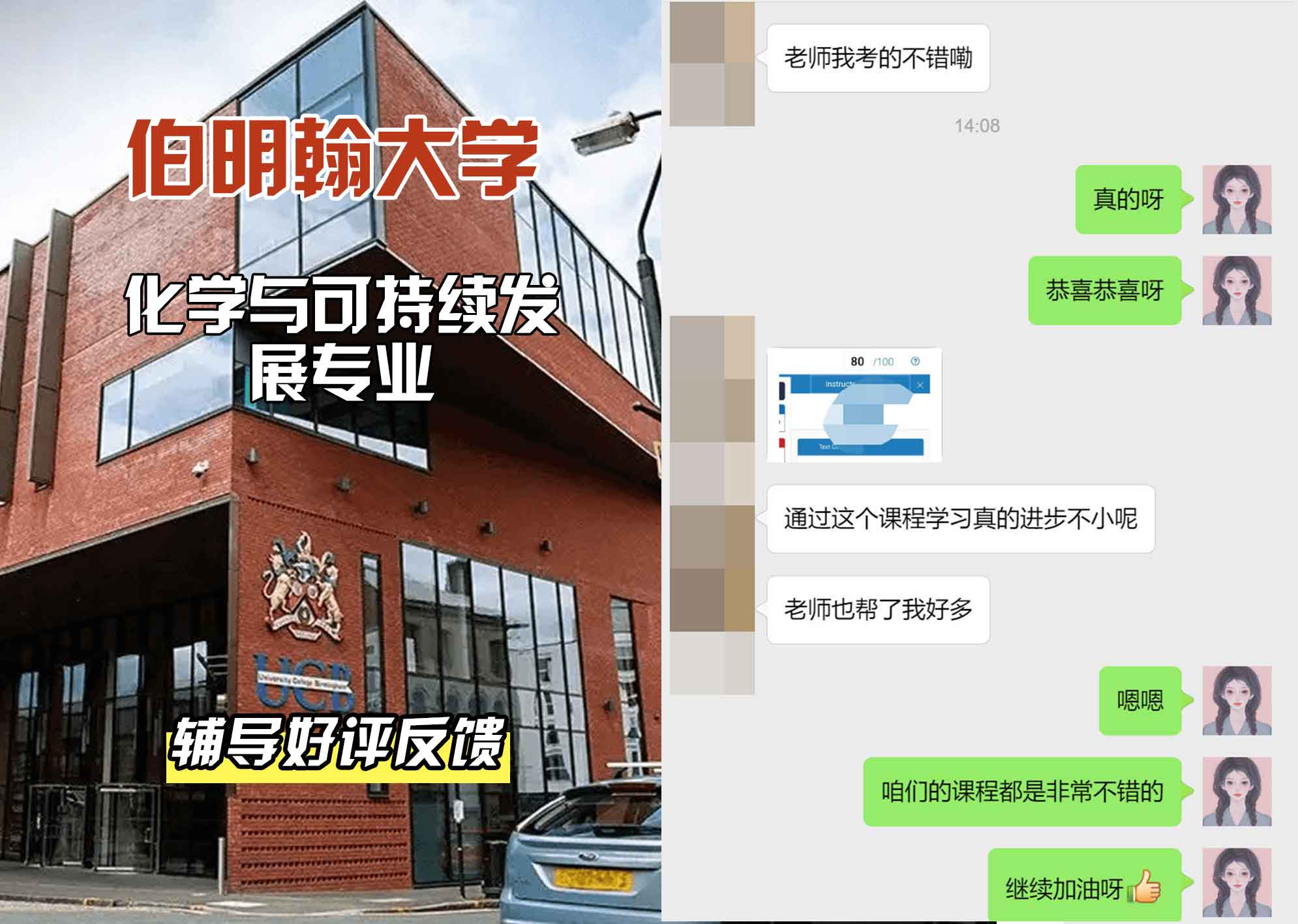 伯明翰大学伯大化学与可持续发展辅导好评反馈