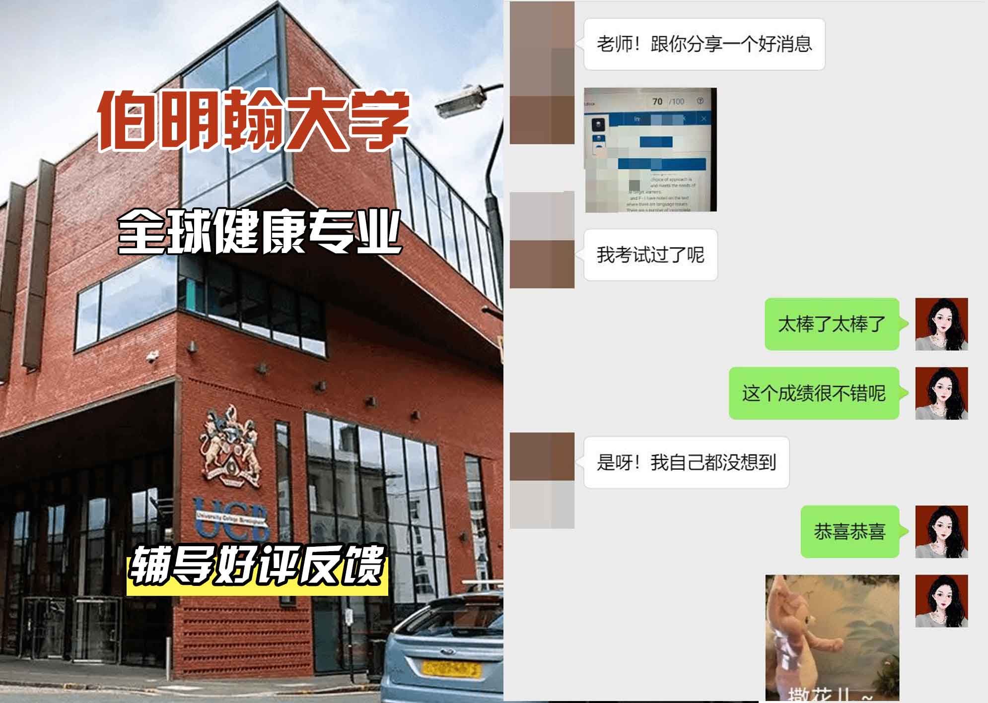 伯明翰大学伯大全球健康辅导好评反馈