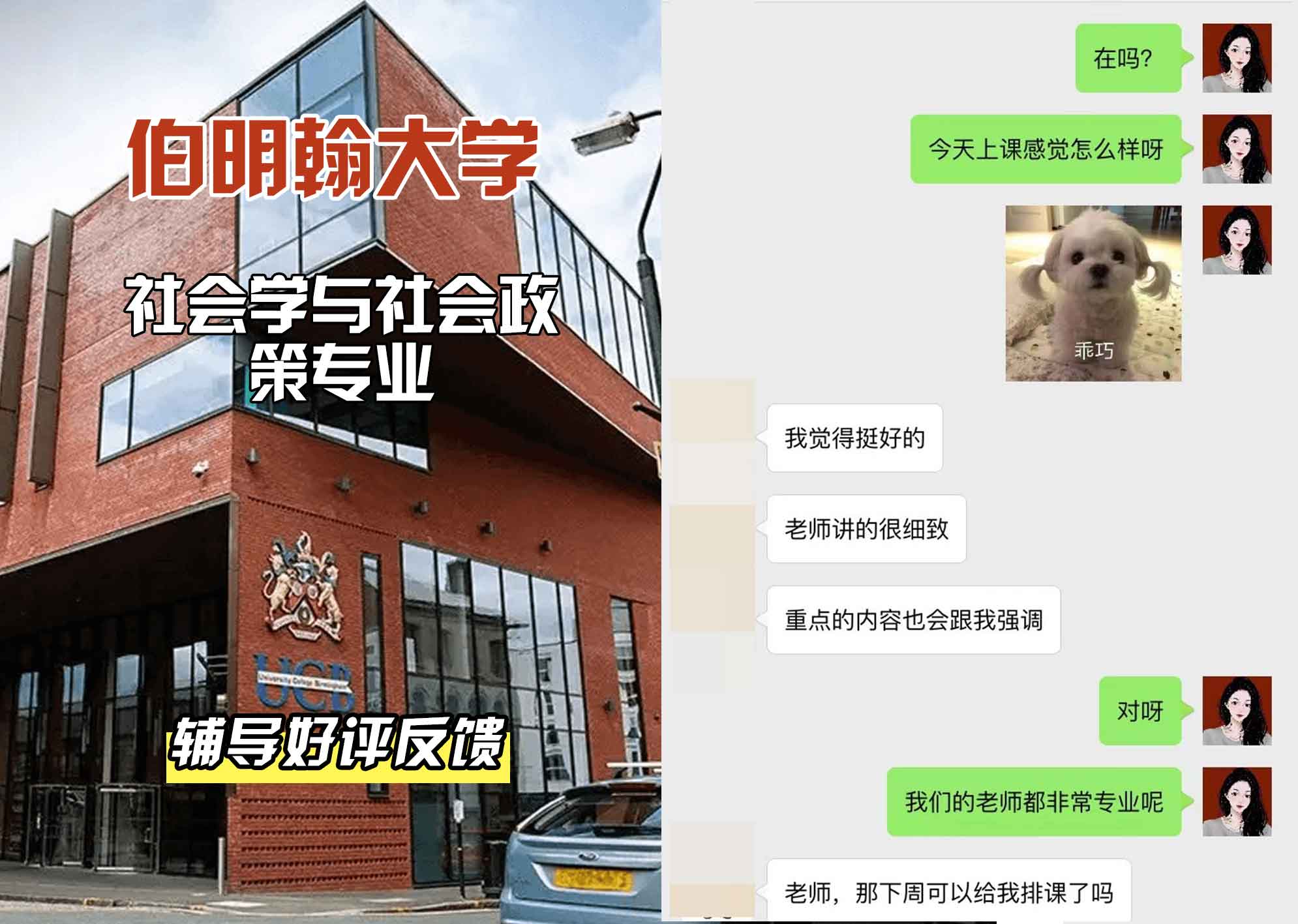 伯明翰大学伯大社会学与社会政策辅导好评反馈