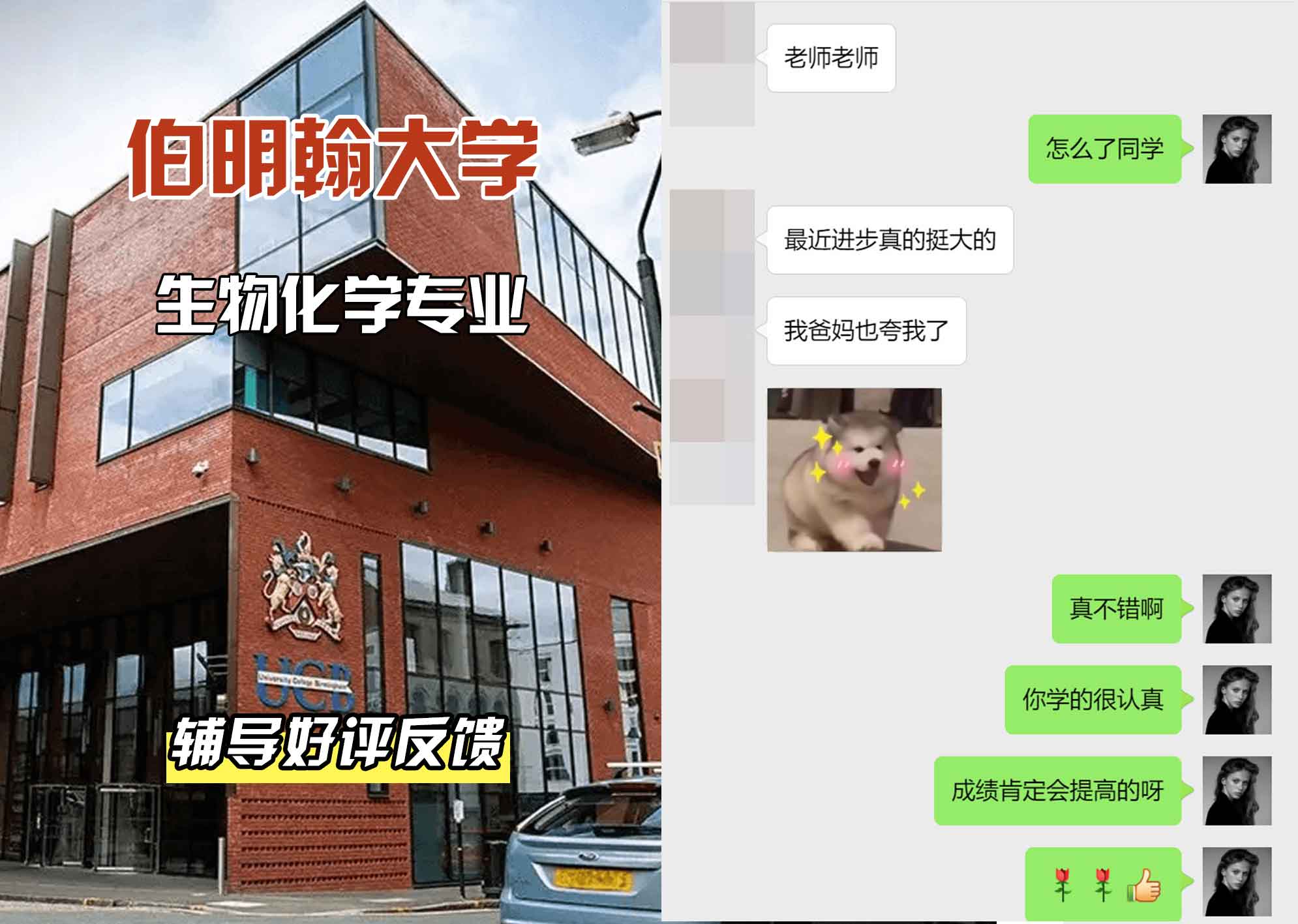 伯明翰大学伯大生物化学辅导好评反馈