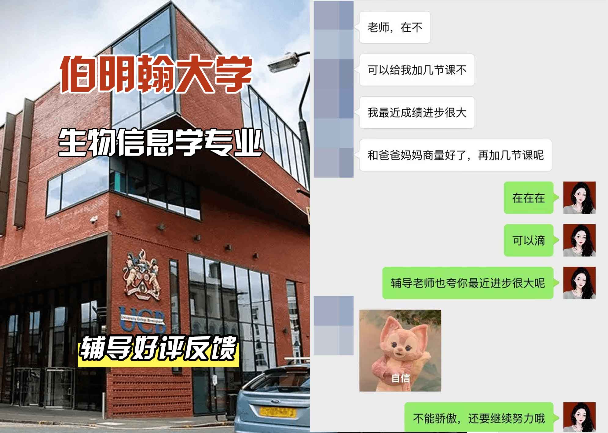 伯明翰大学伯大生物信息学辅导好评反馈