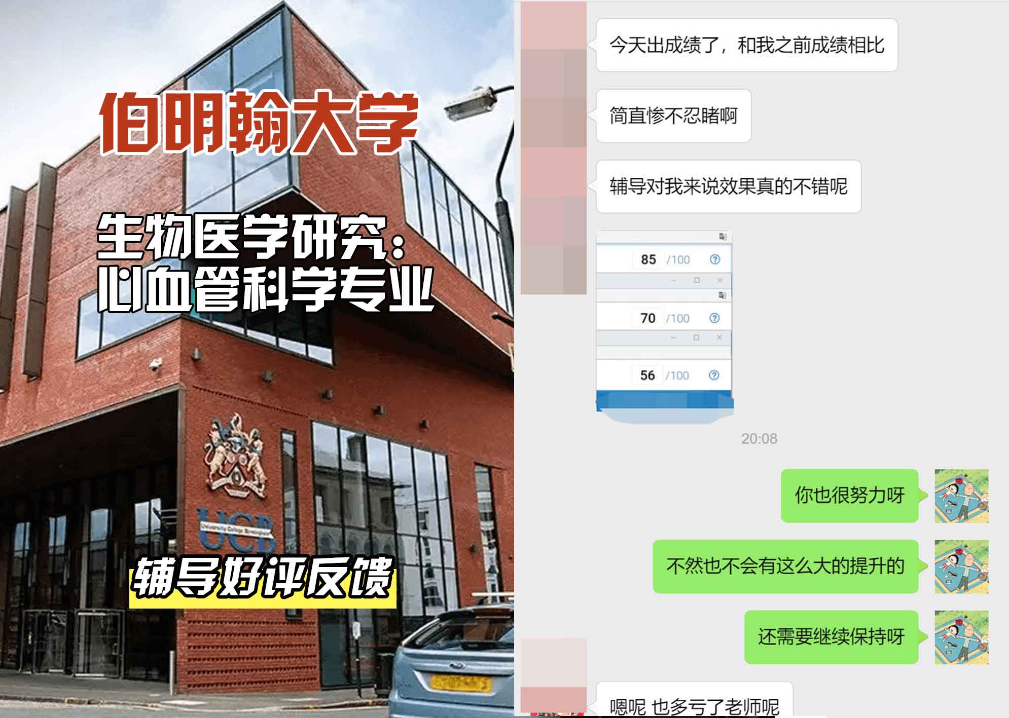 伯明翰大学伯大生物医学研究：心血管科学辅导好评反馈