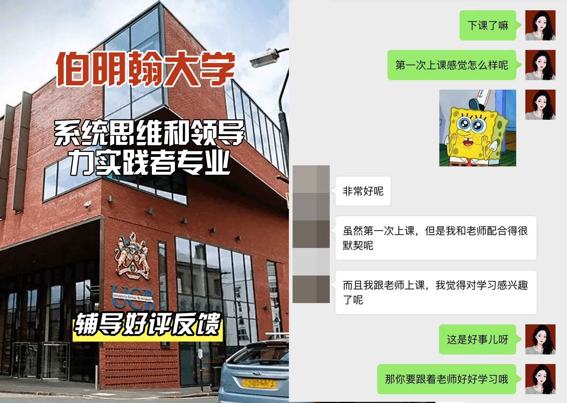 伯明翰大学伯大系统思维和领导力实践者辅导好评反馈