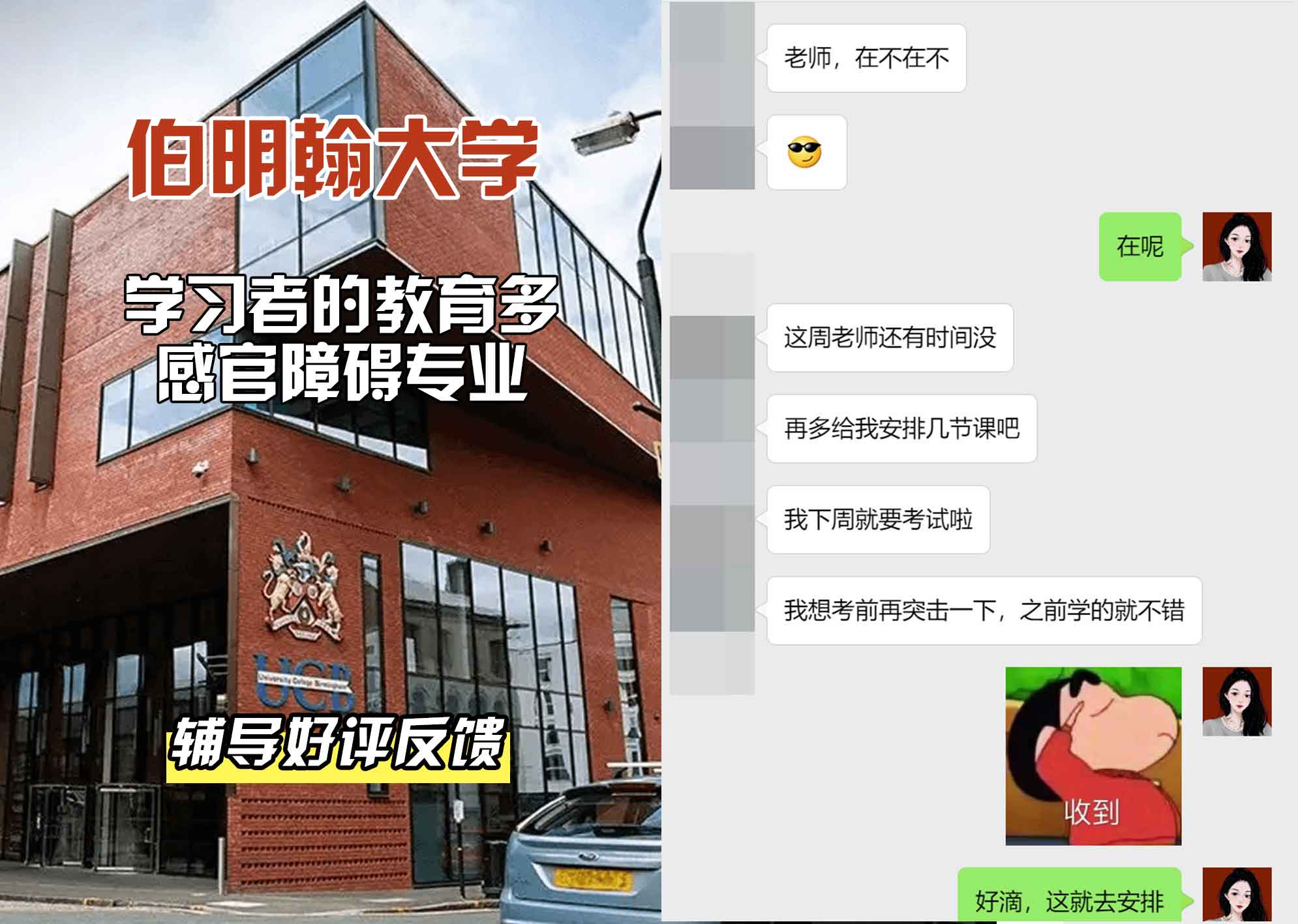 伯明翰大学伯大多感官障碍（聋盲）儿童和青少年教师辅导好评反馈