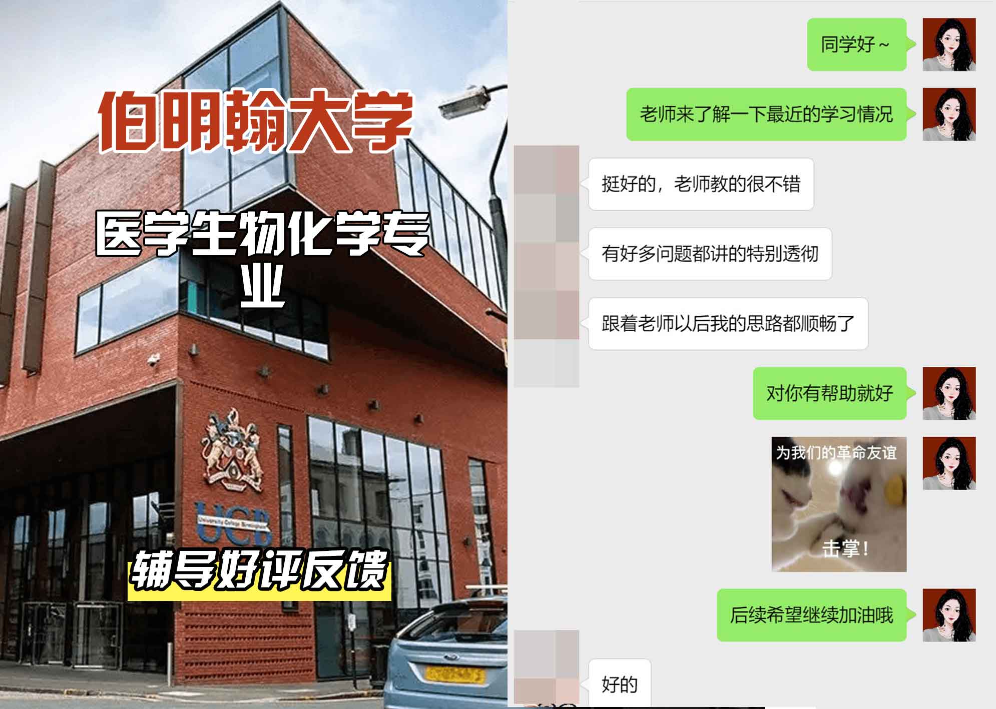 伯明翰大学伯大医学生物化学辅导好评反馈