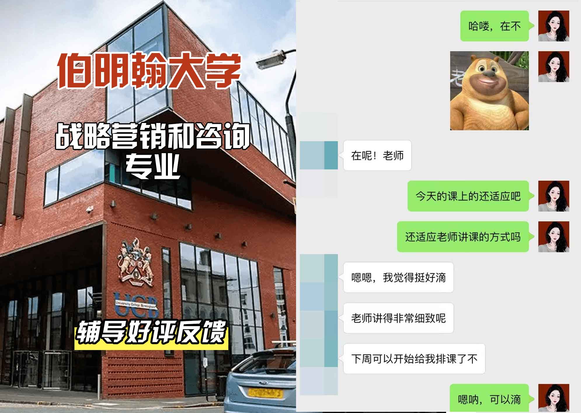 伯明翰大学伯大战略营销和咨询辅导好评反馈