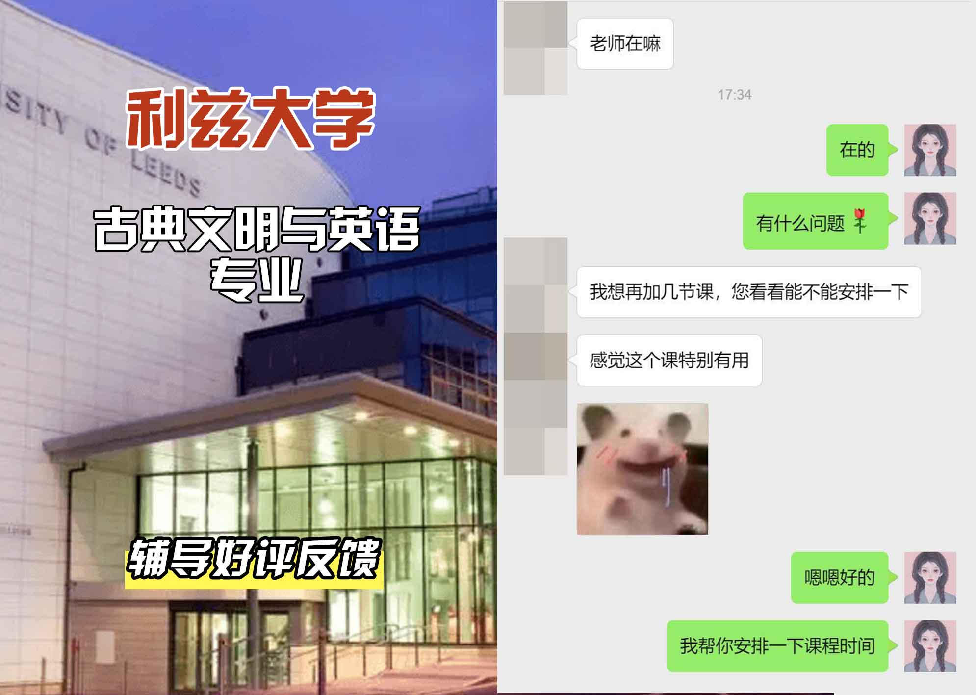 利兹大学leeds古典文明与英语辅导好评反馈