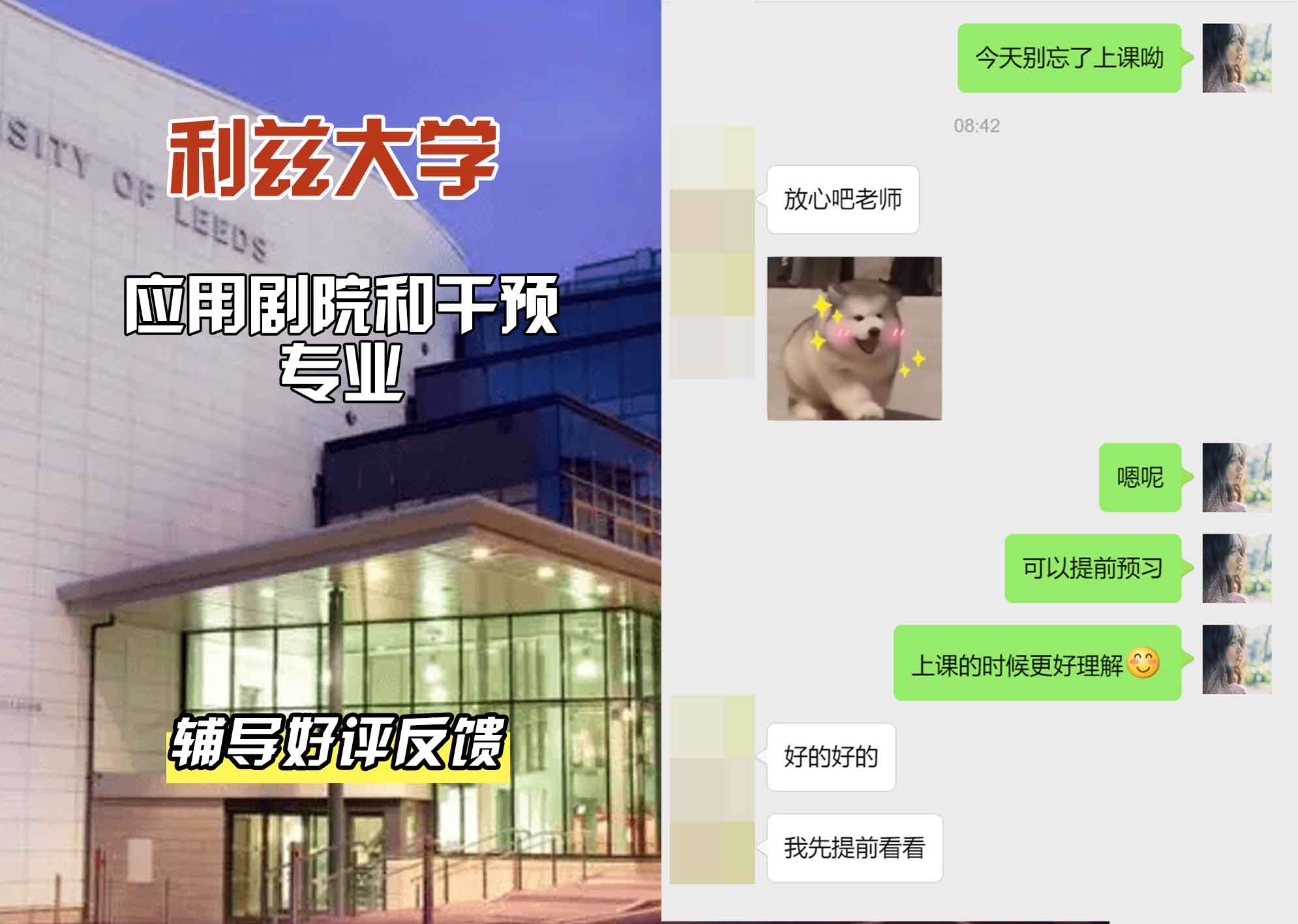 利兹大学leeds应用剧院和干预辅导好评反馈