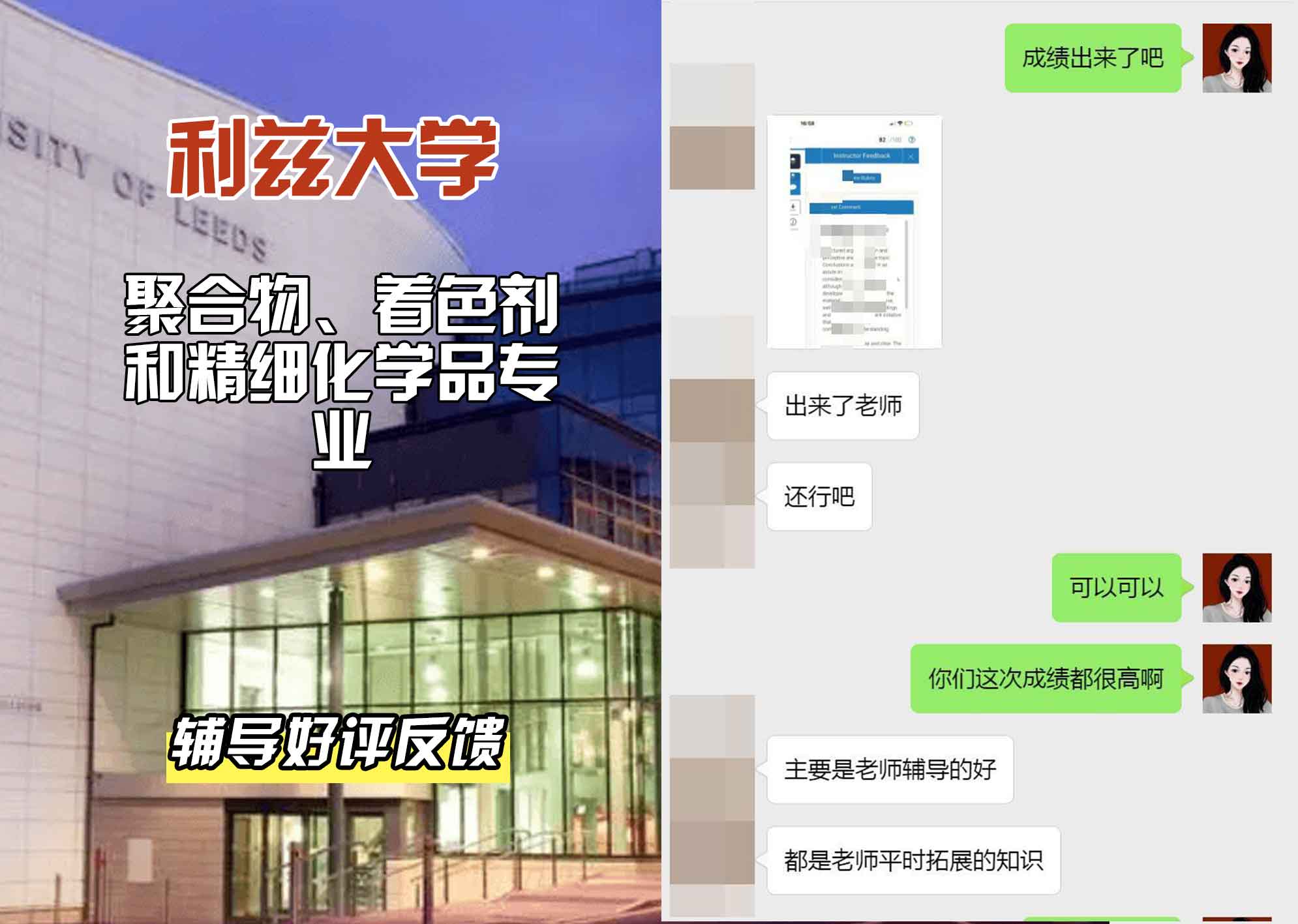 利兹大学leeds聚合物、着色剂和精细化学品辅导好评反馈