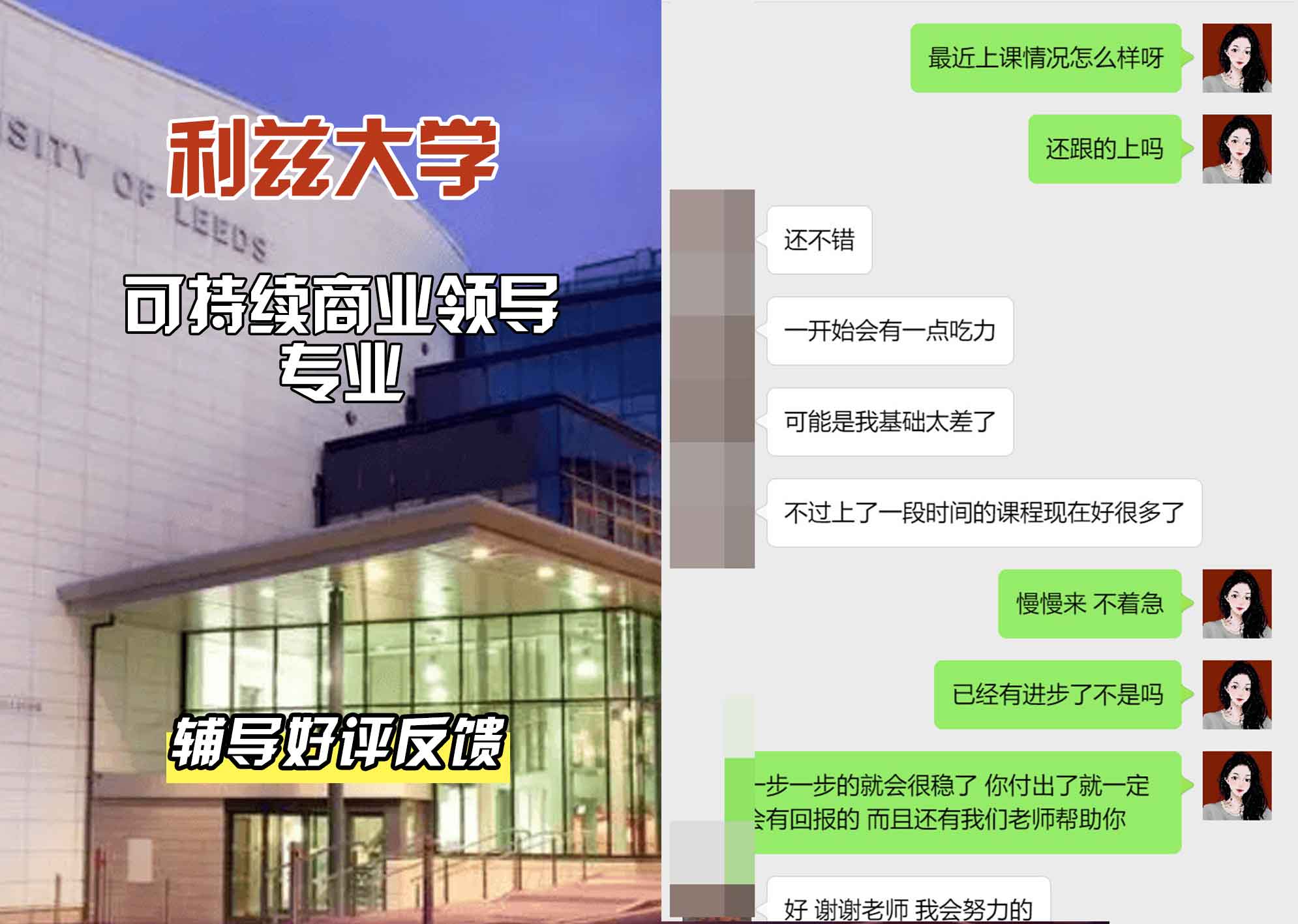 利兹大学leeds可持续商业领导辅导好评反馈