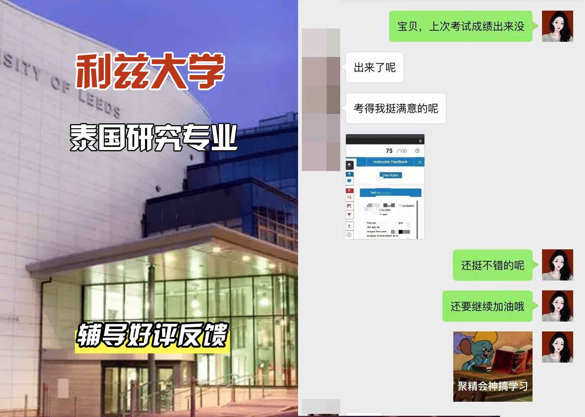 利兹大学leeds泰国研究辅导好评反馈
