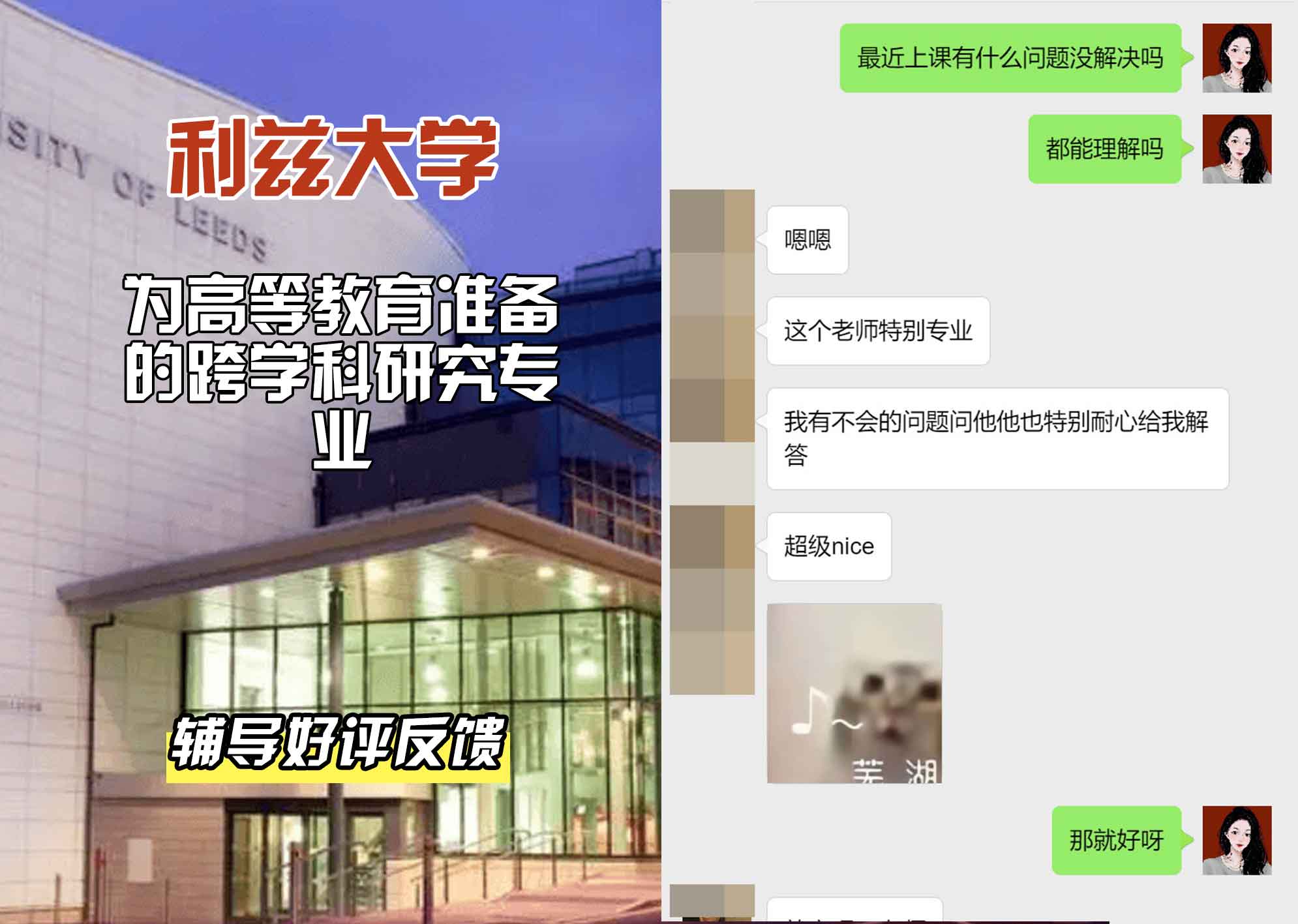 利兹大学leeds为高等教育准备的跨学科研究辅导好评反馈