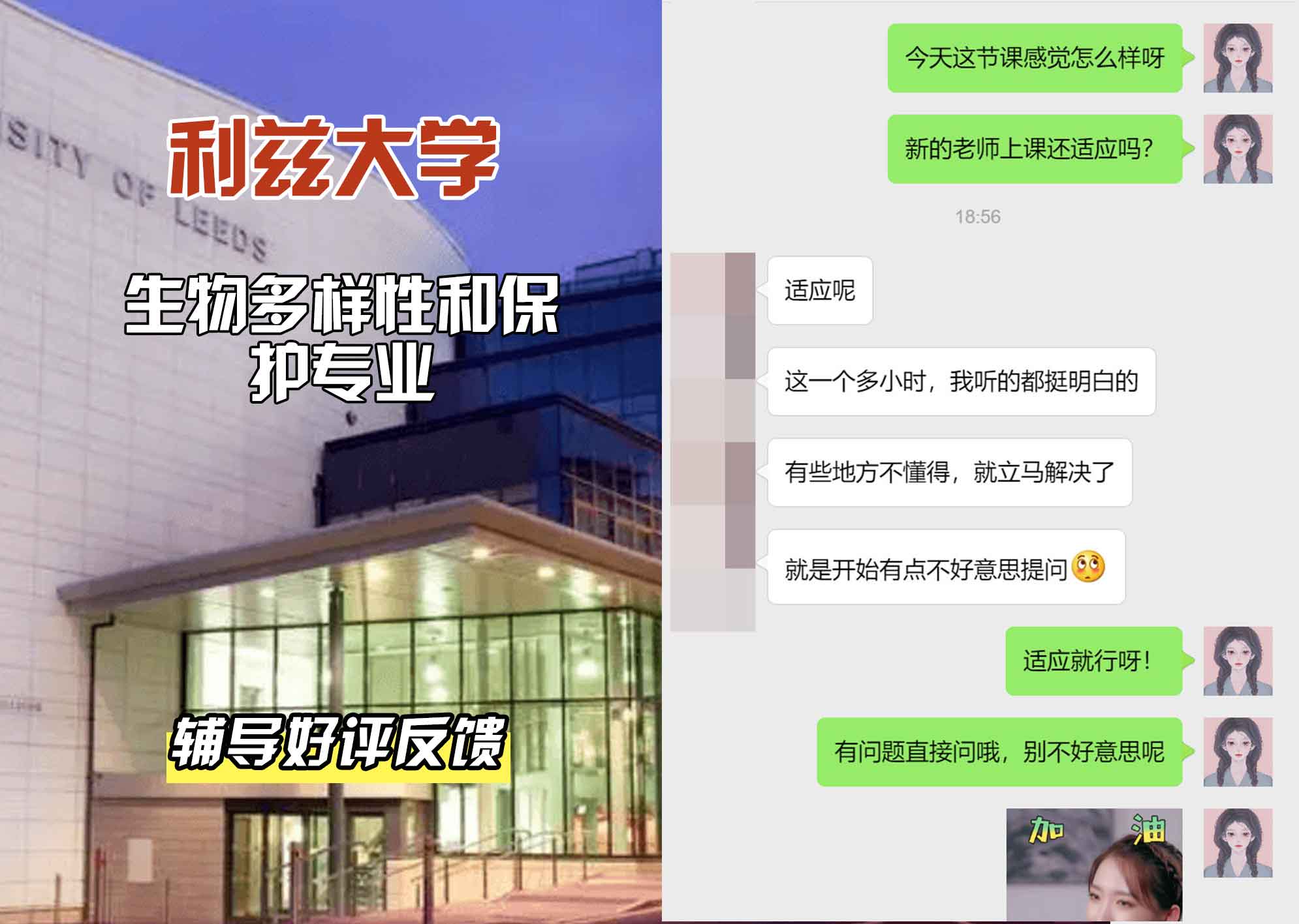 利兹大学leeds生物多样性与保护辅导好评反馈