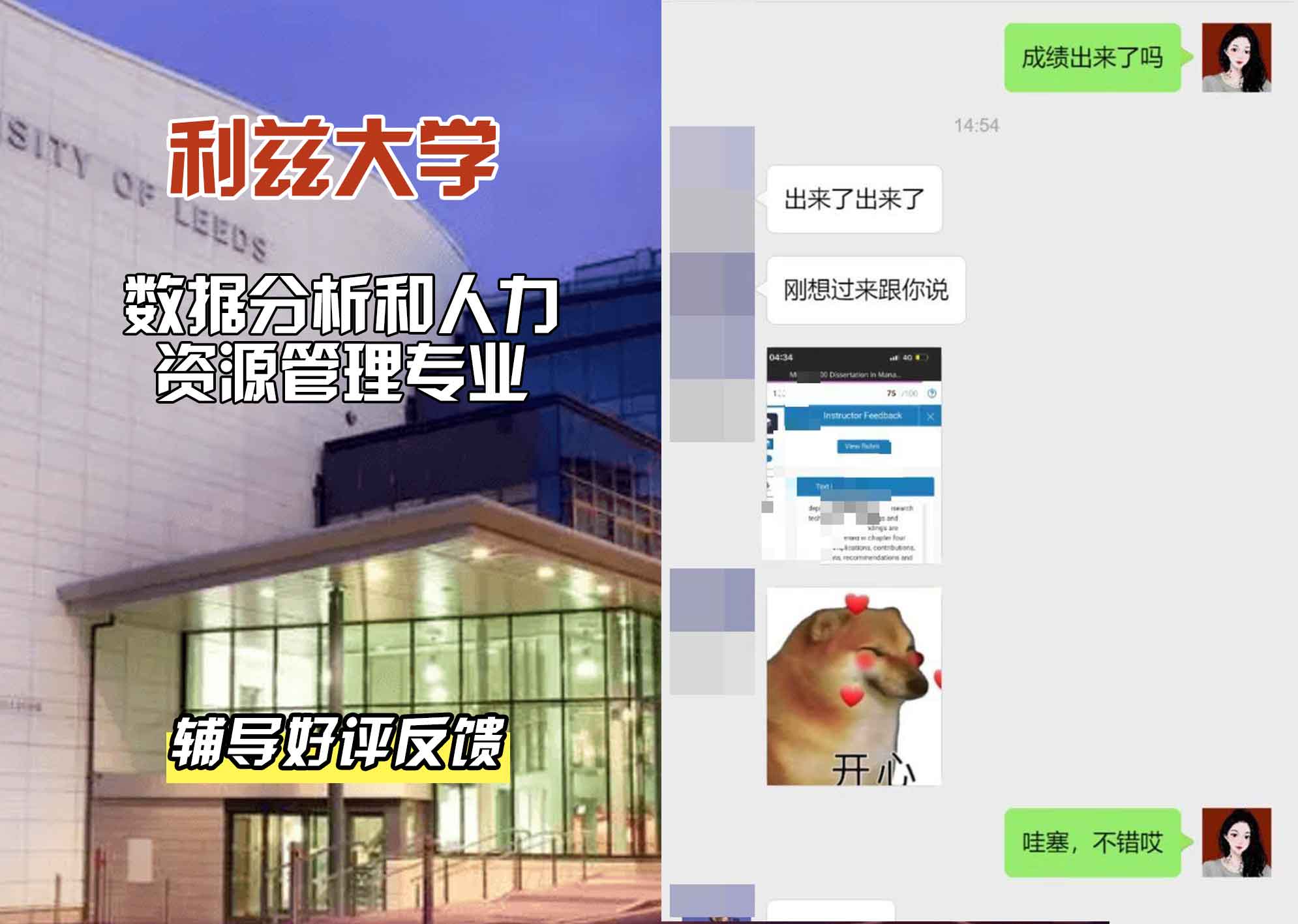 利兹大学leeds数据分析和人力资源管理辅导好评反馈