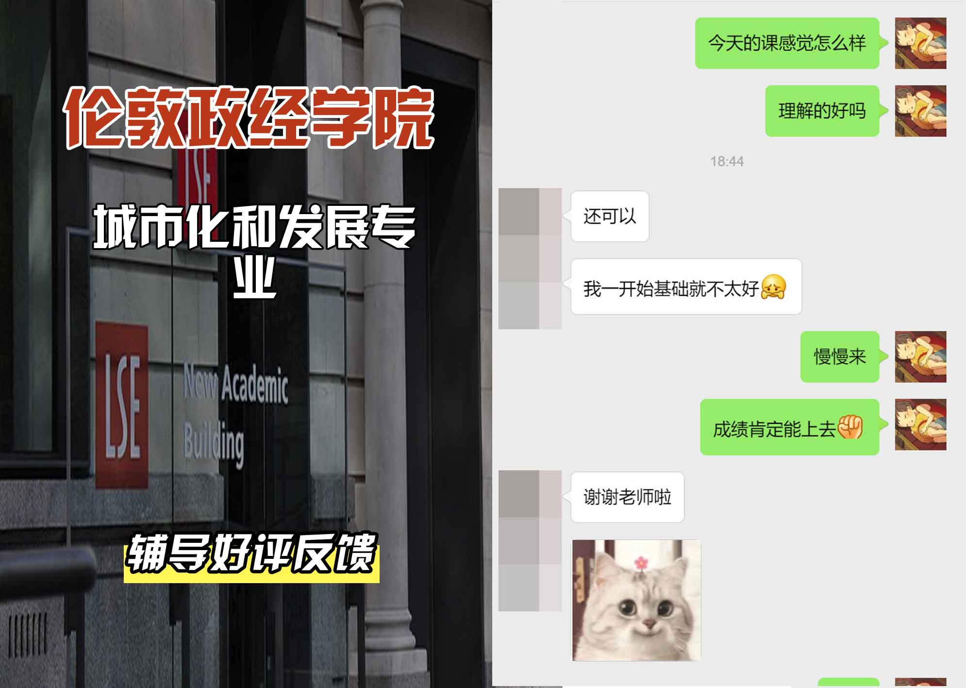 伦敦政经学院LSE城市化和发展辅导好评反馈