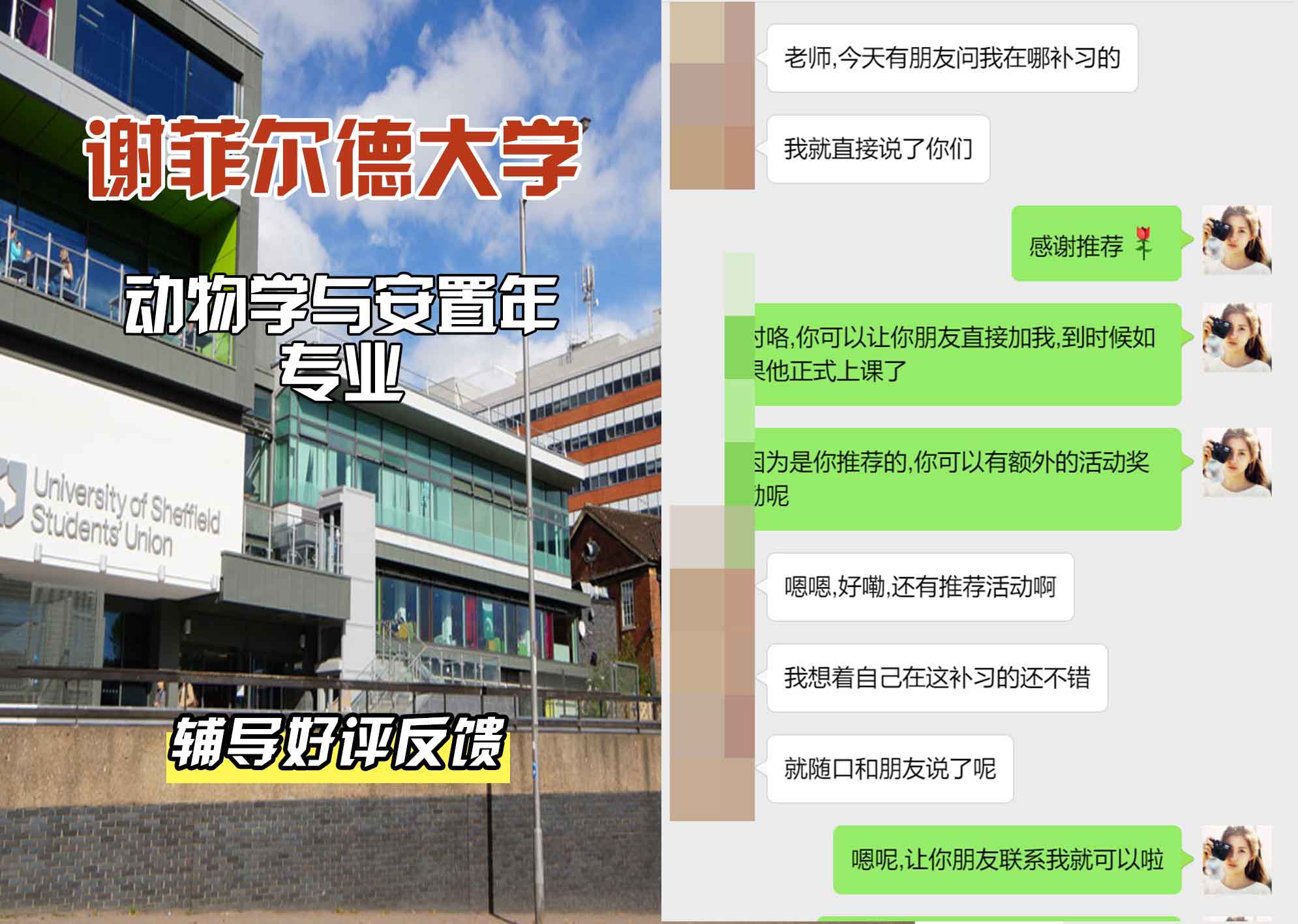 谢菲尔德大学谢大动物学与安置年辅导好评反馈