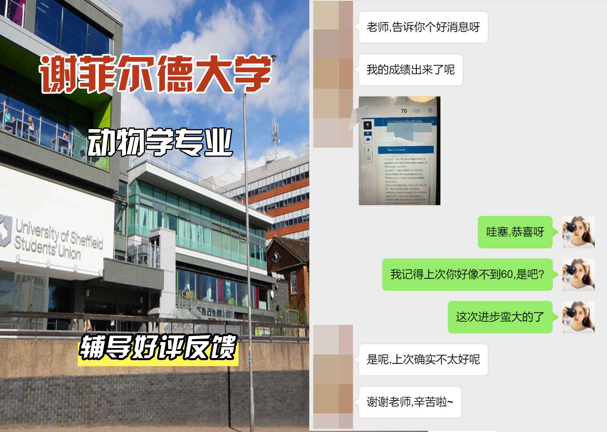 谢菲尔德大学谢大动物学辅导好评反馈