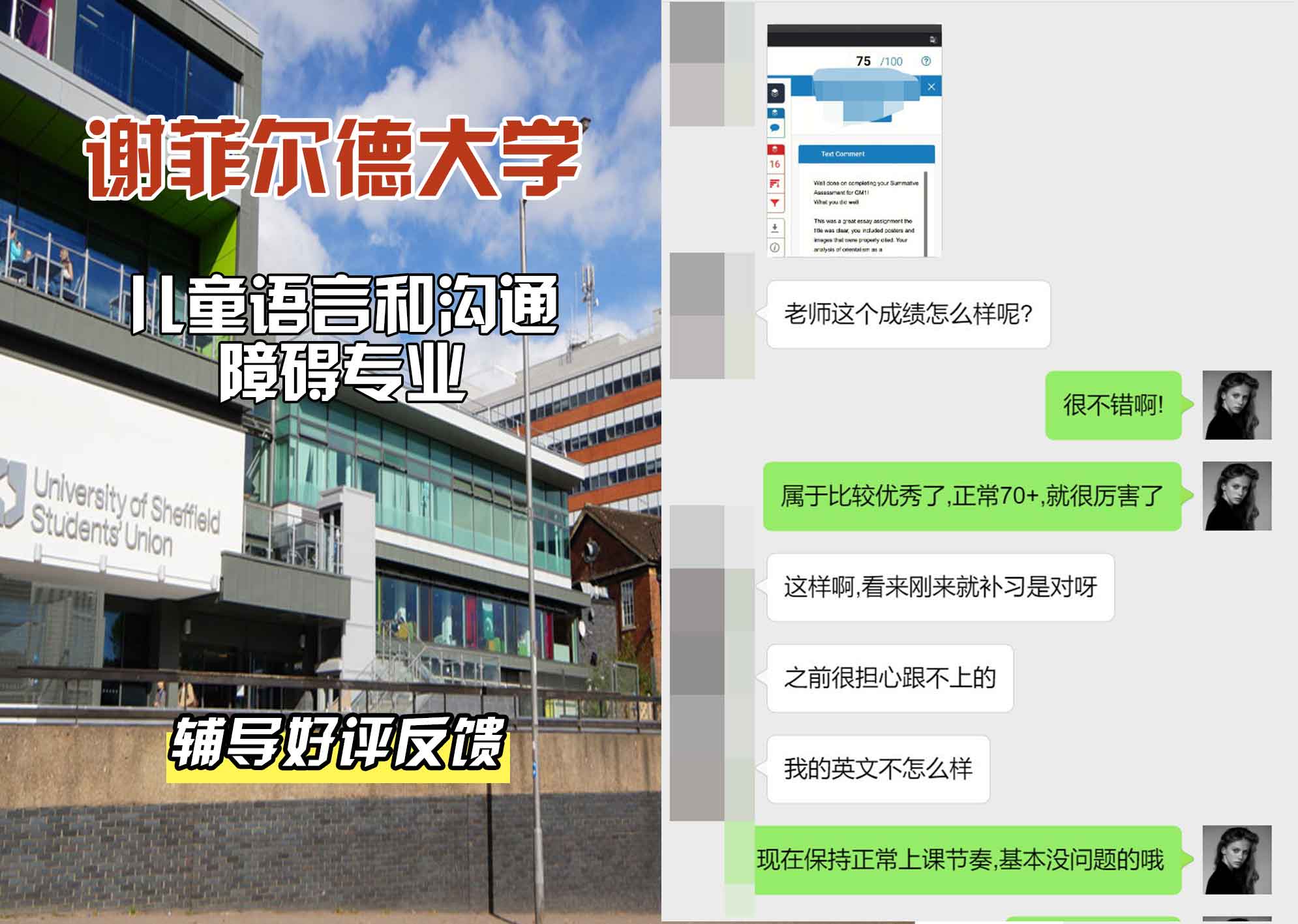 谢菲尔德大学谢大儿童语言和沟通障碍辅导好评反馈