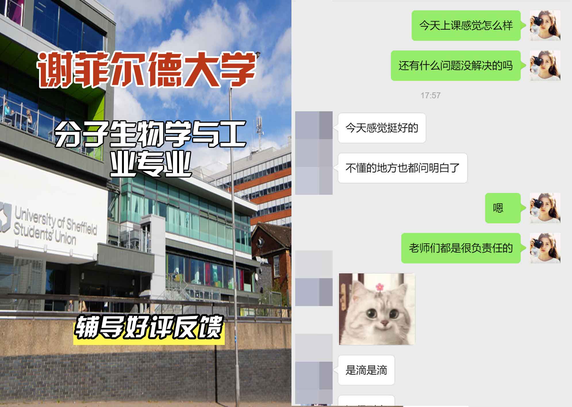 谢菲尔德大学谢大分子生物学与工业辅导好评反馈