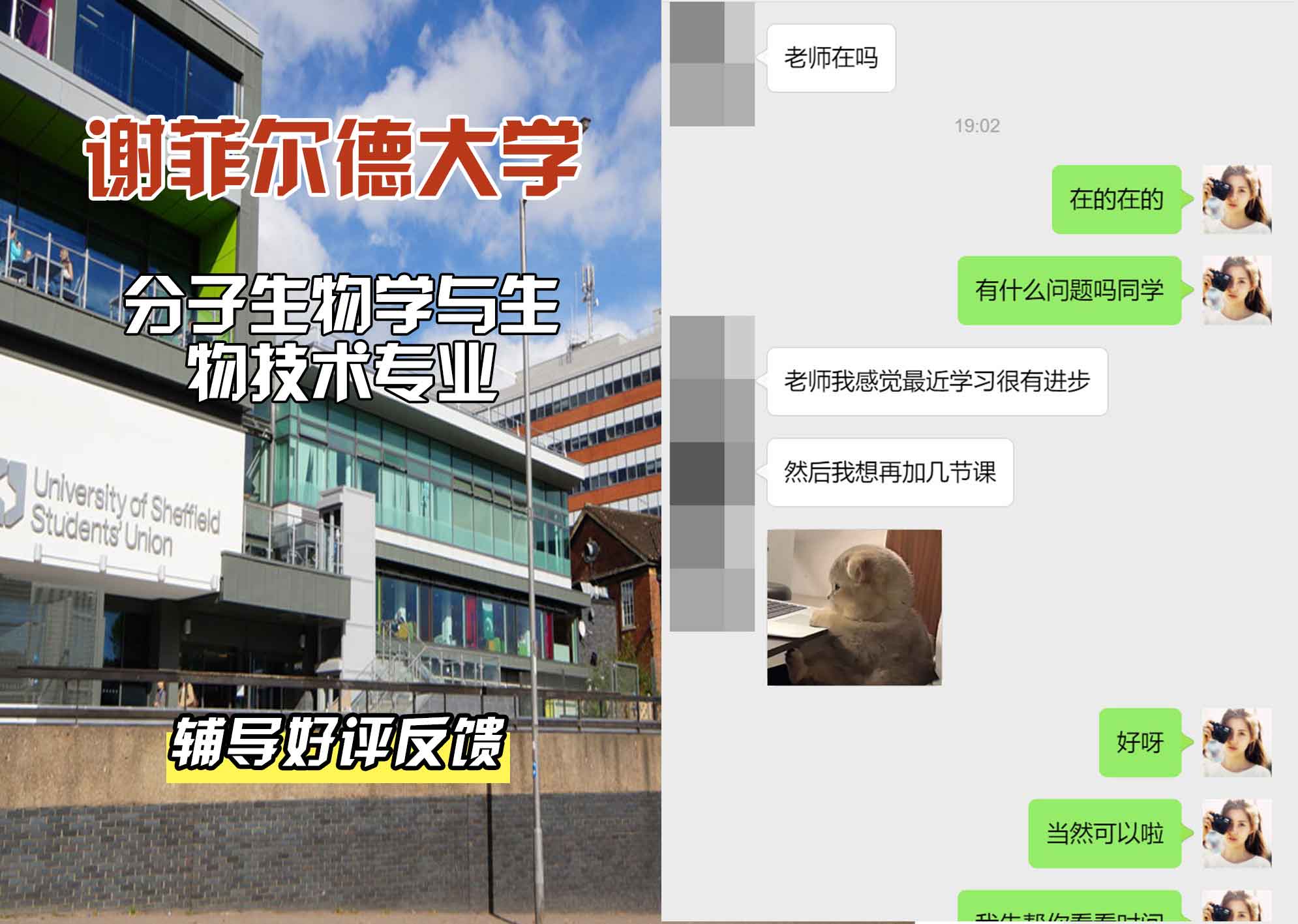 谢菲尔德大学谢大分子生物学与生物技术辅导好评反馈