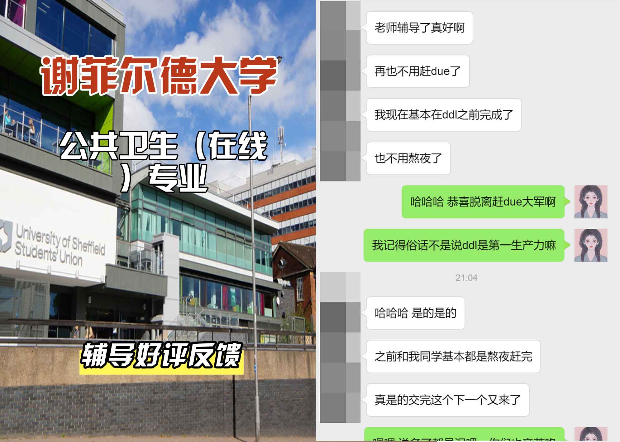 谢菲尔德大学谢大公共卫生（在线）辅导好评反馈