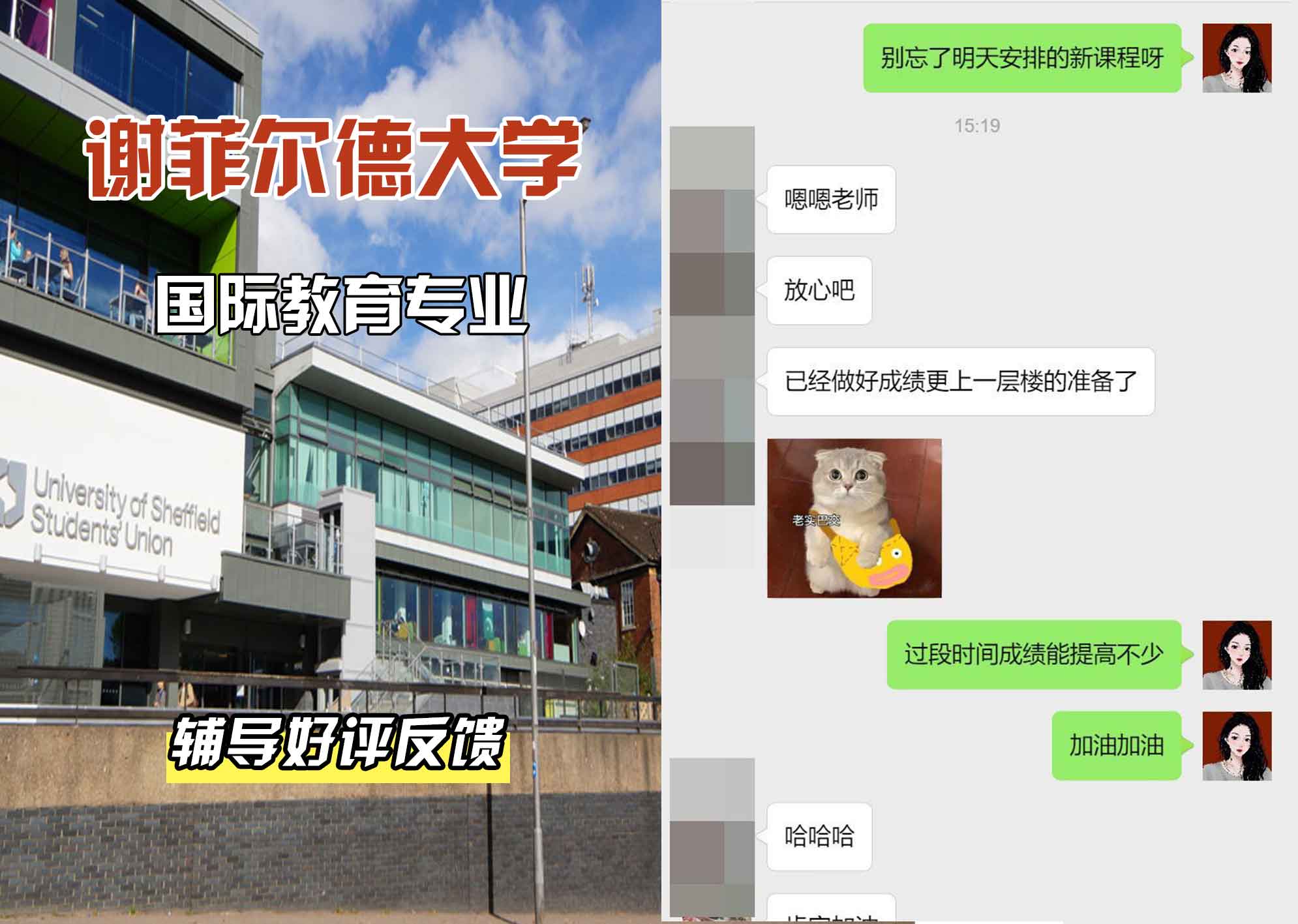 谢菲尔德大学谢大国际教育辅导好评反馈