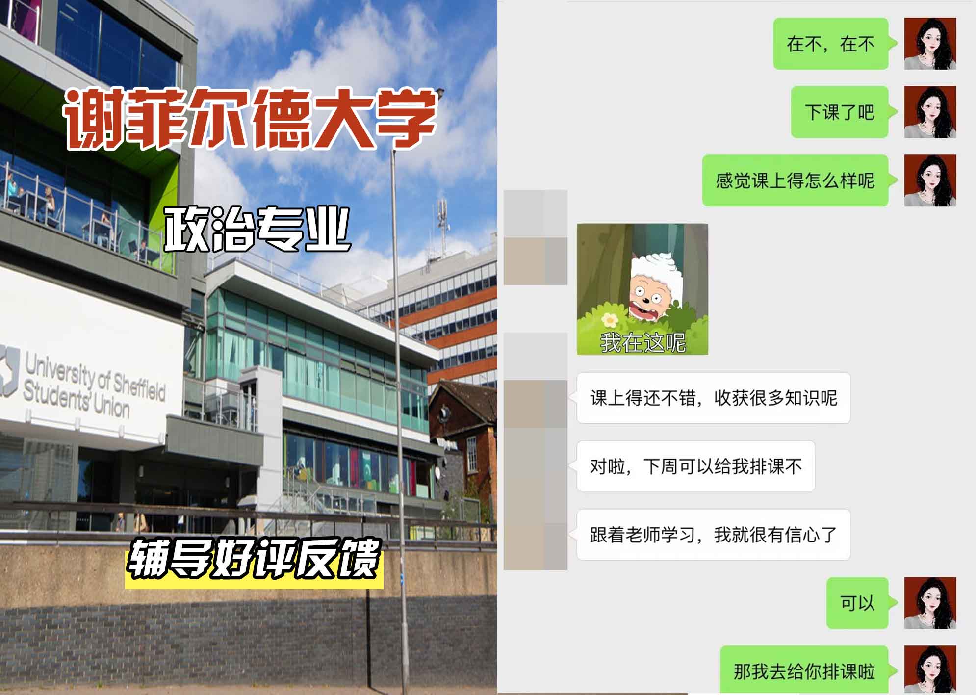 谢菲尔德大学谢大政治辅导好评反馈