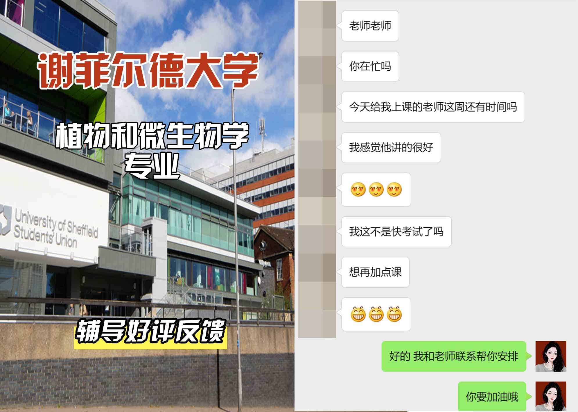 谢菲尔德大学谢大植物和微生物学辅导好评反馈