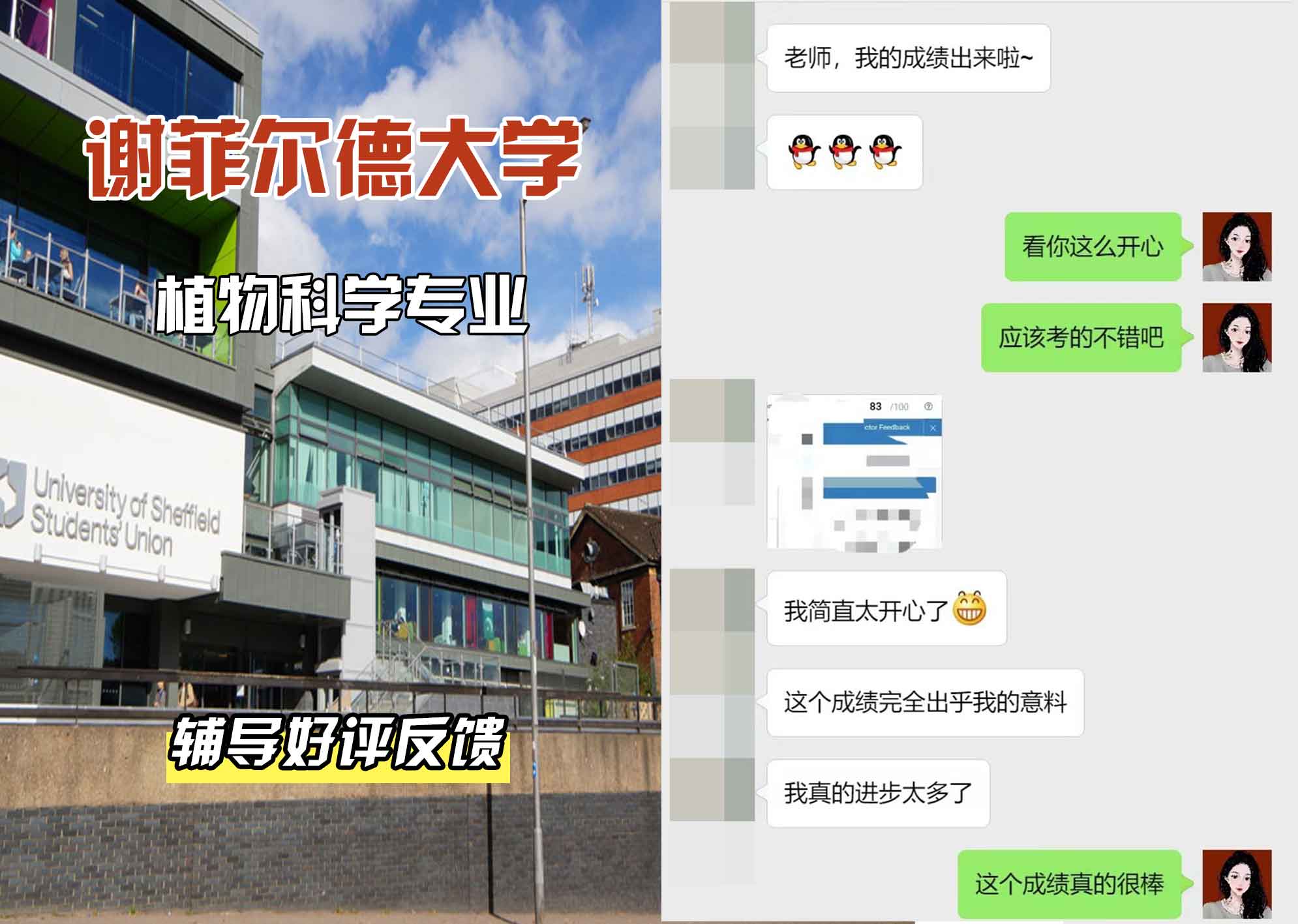 谢菲尔德大学谢大植物科学辅导好评反馈