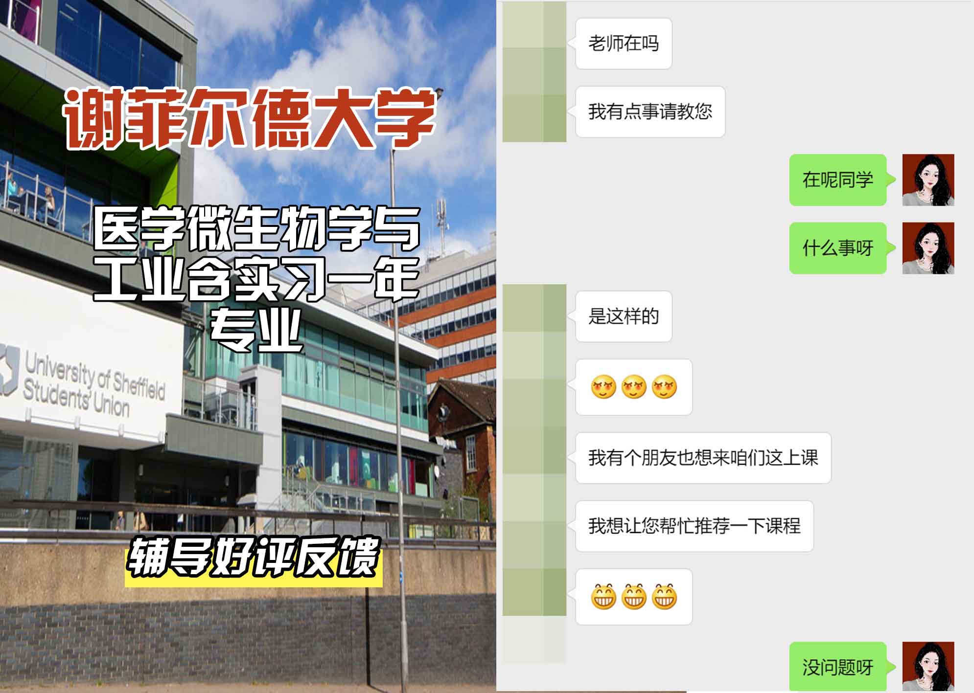 谢菲尔德大学谢大医学微生物学与工业含实习一年辅导好评反馈