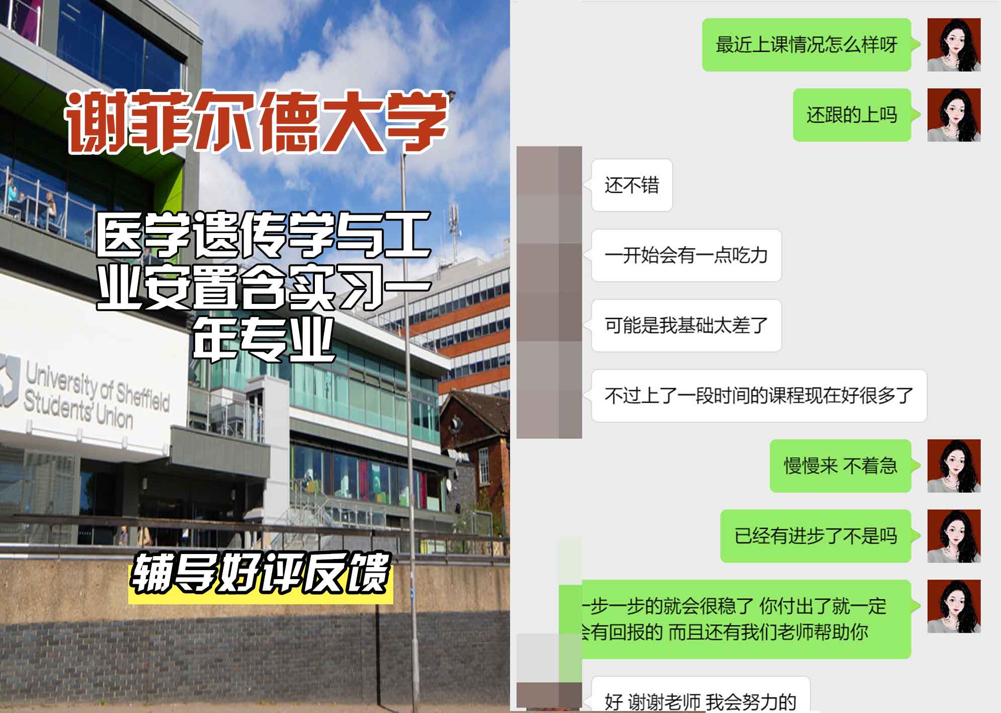 谢菲尔德大学谢大医学遗传学与工业安置含实习一年辅导好评反馈