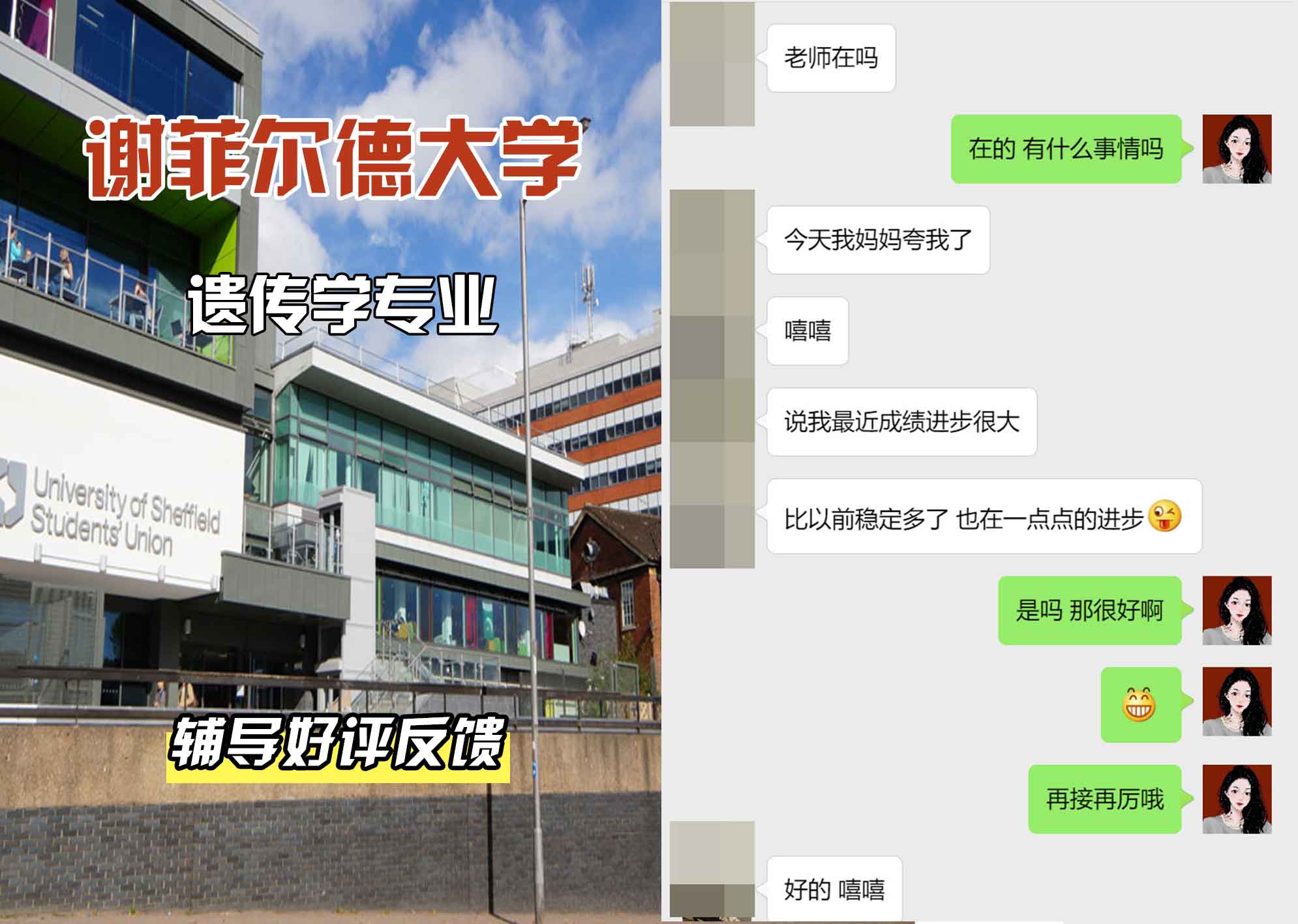 谢菲尔德大学谢大遗传学辅导好评反馈