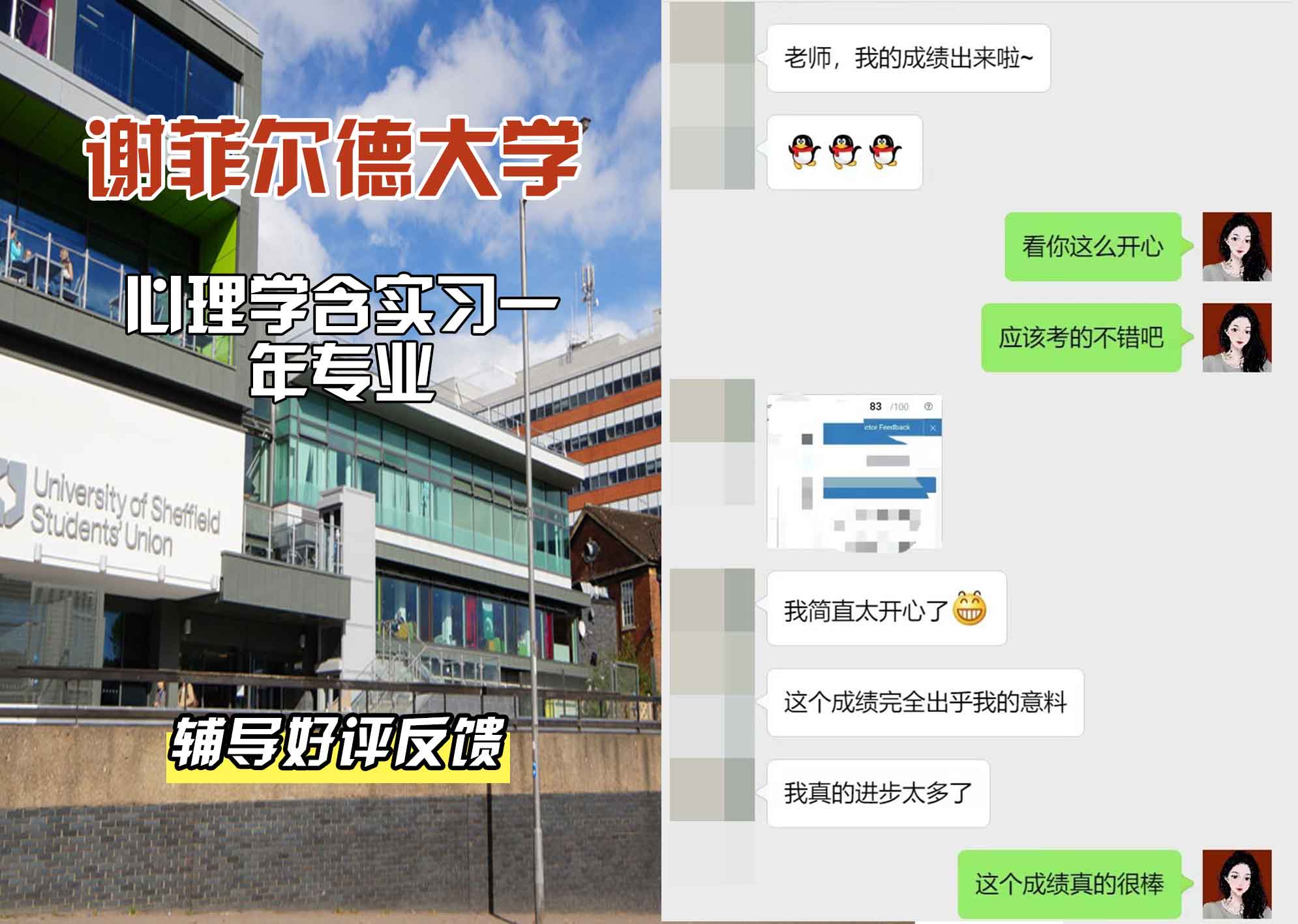 谢菲尔德大学谢大心理学含实习一年辅导好评反馈
