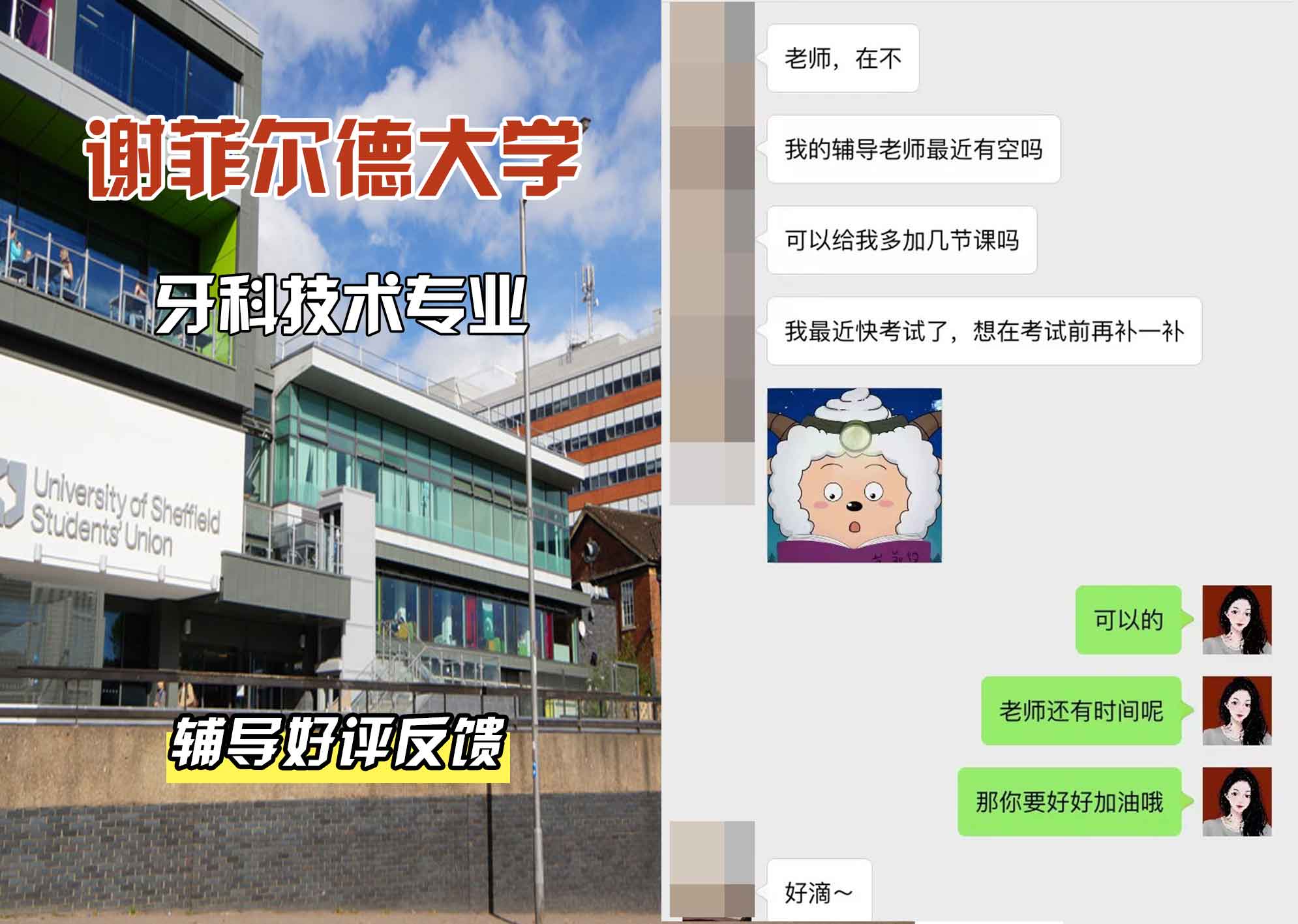 谢菲尔德大学谢大牙科技术辅导好评反馈