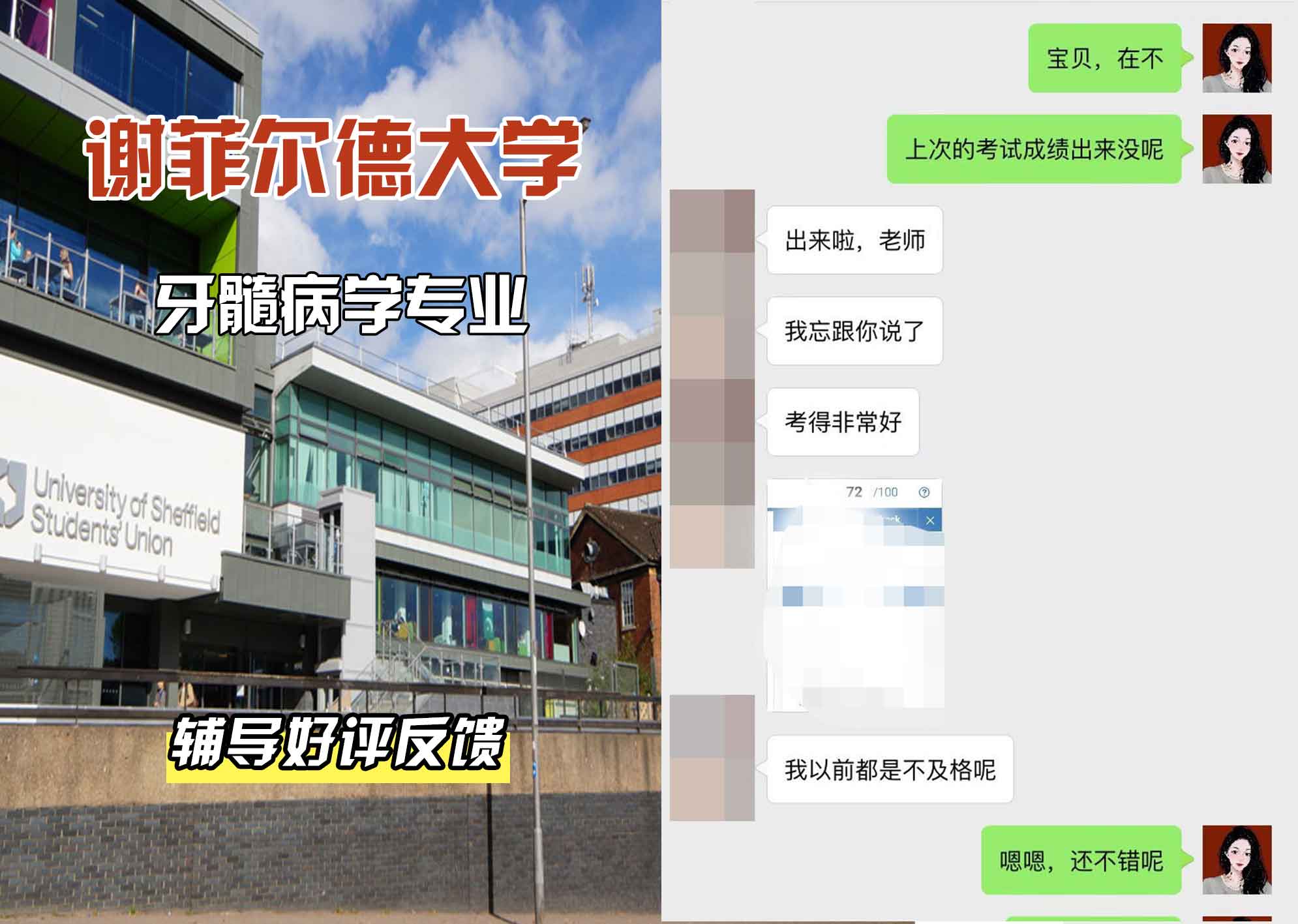 谢菲尔德大学谢大牙髓病学辅导好评反馈