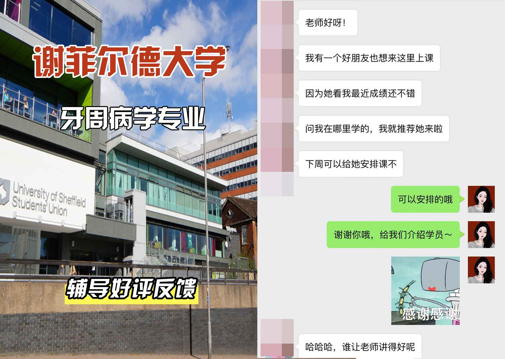 谢菲尔德大学谢大牙周病学辅导好评反馈