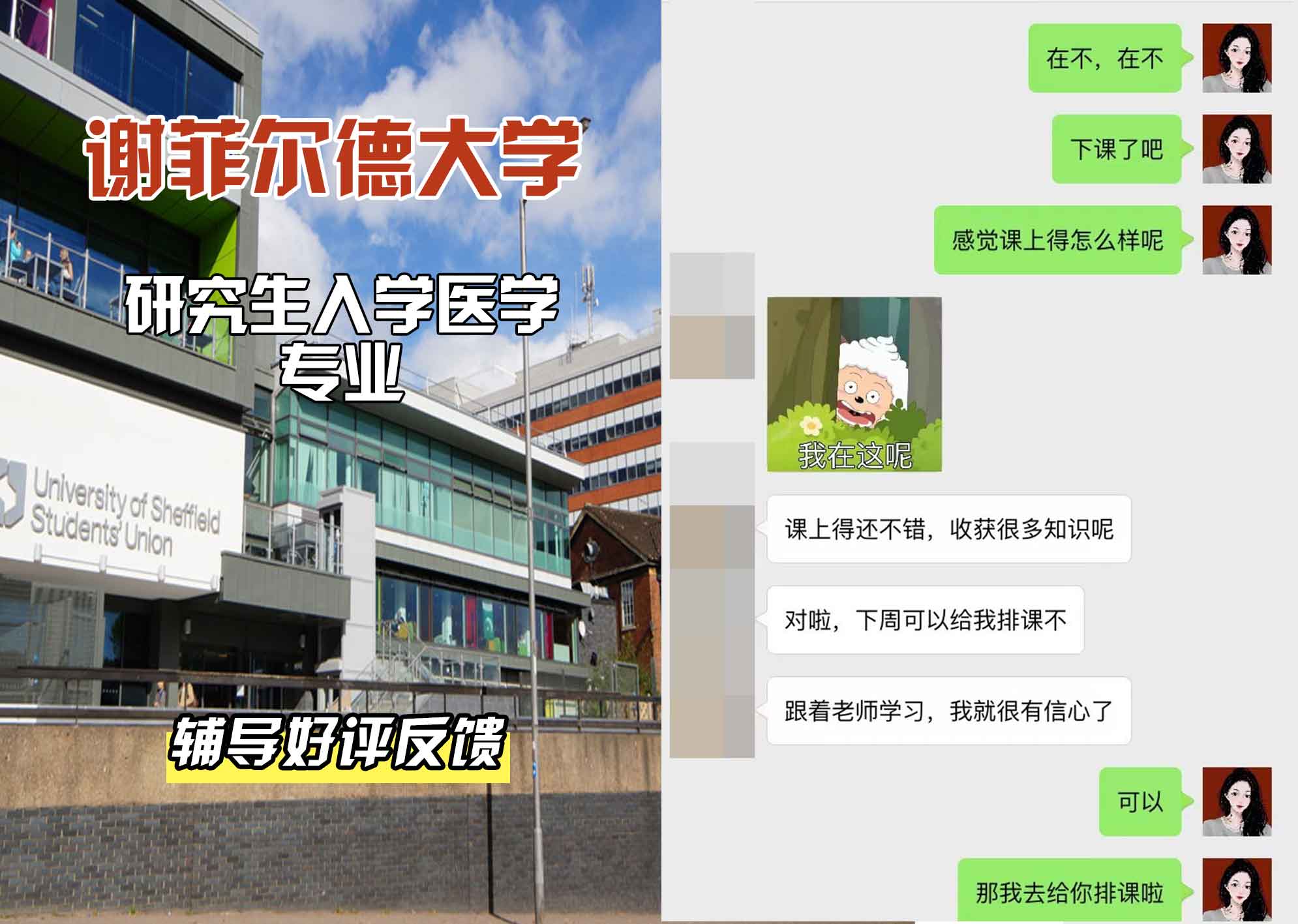 谢菲尔德大学谢大研究生入学医学辅导好评反馈